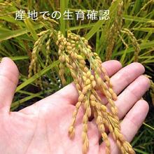 岩手県産銀河のしずく〔5kg〕お米