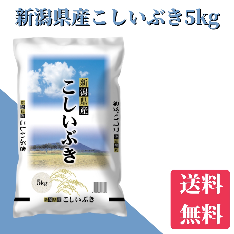 新米　令和6年　新潟県こしいぶき 5kg