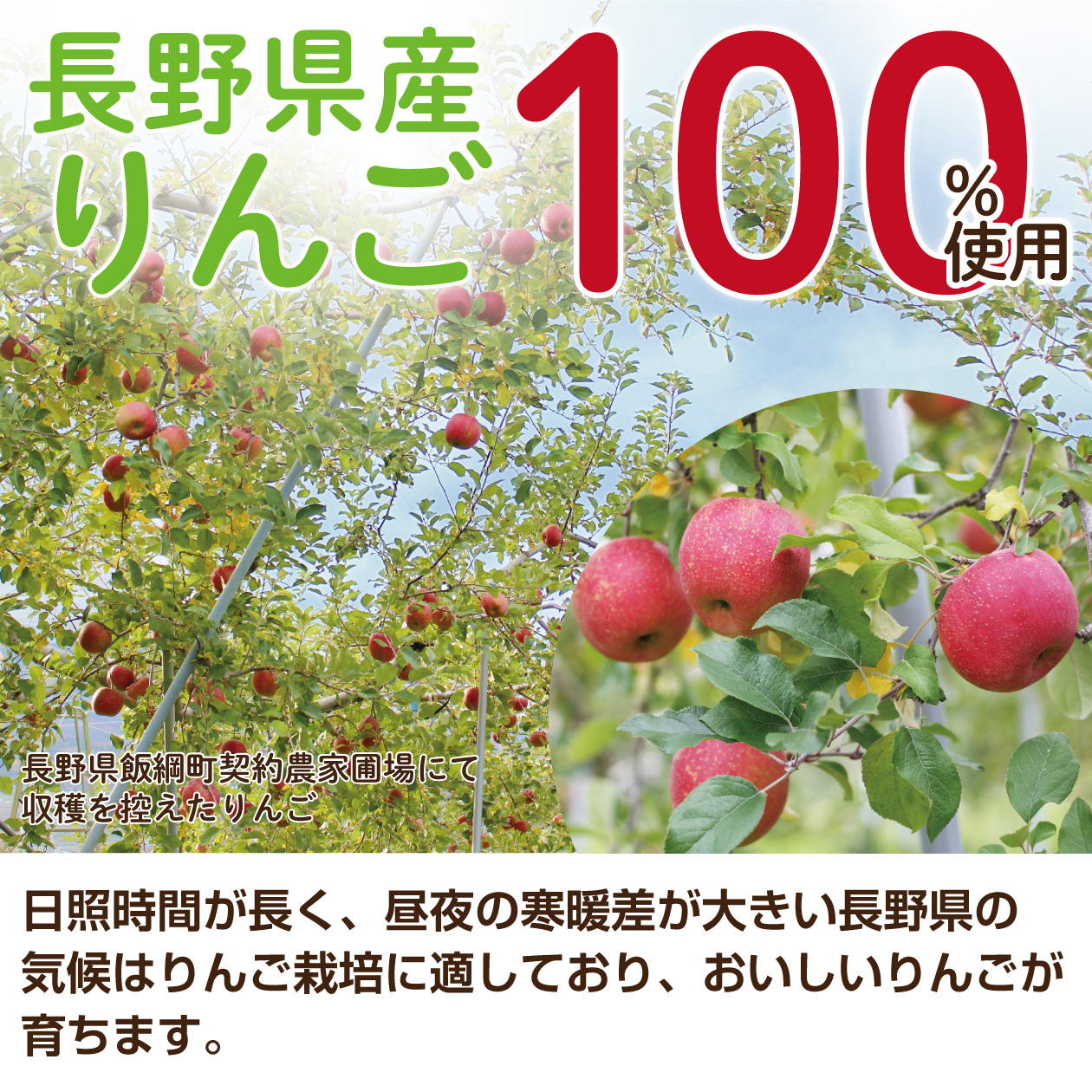 りんごジュース ストレート 100% 長野興農 信州まるごとりんごジュース 160g 【お試し12本】