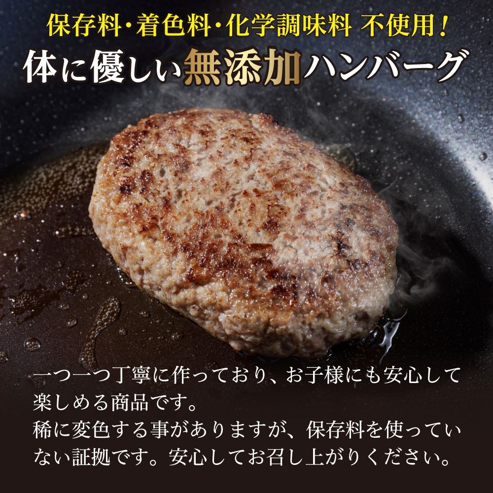 佐賀牛ハンバーグ 100g×9個入り