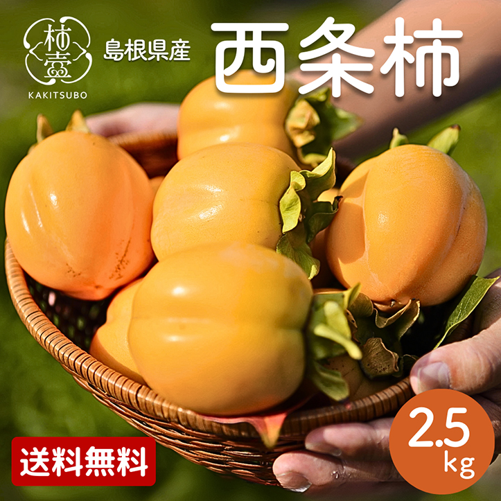 西条柿 2.5kg（11〜14玉）