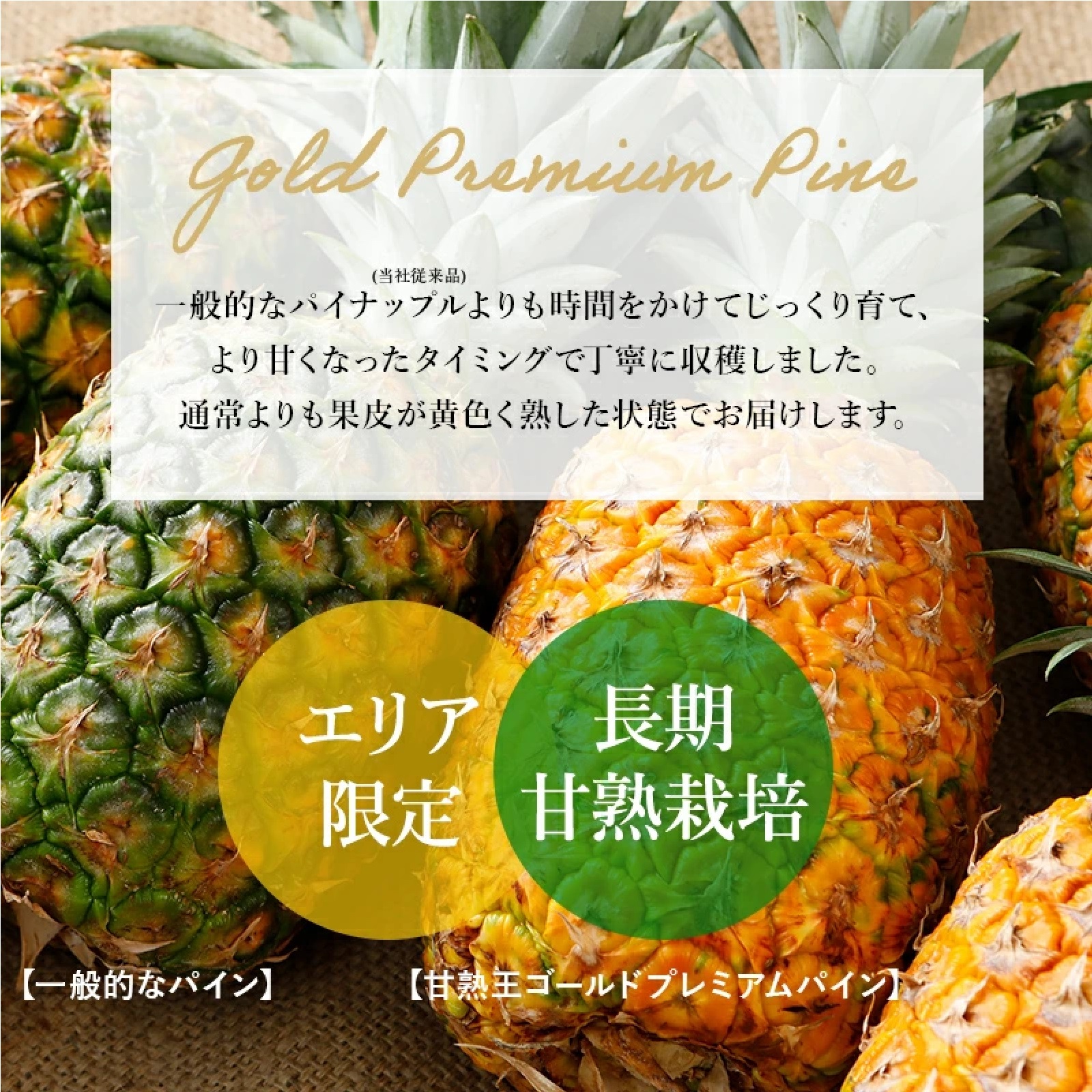 甘熟王ゴールドプレミアムパイン 2玉 フィリピン産