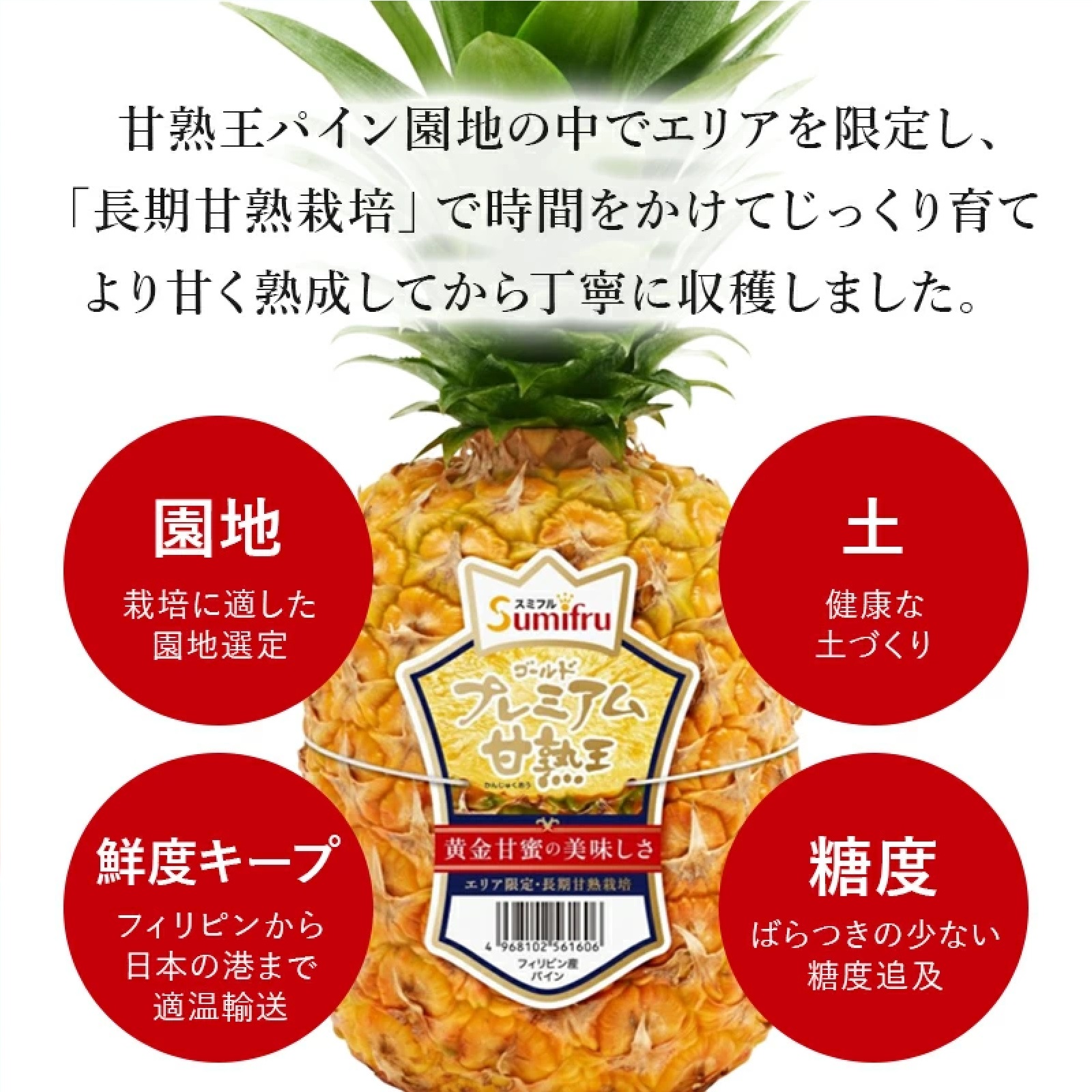 甘熟王ゴールドプレミアムパイン 2玉 フィリピン産