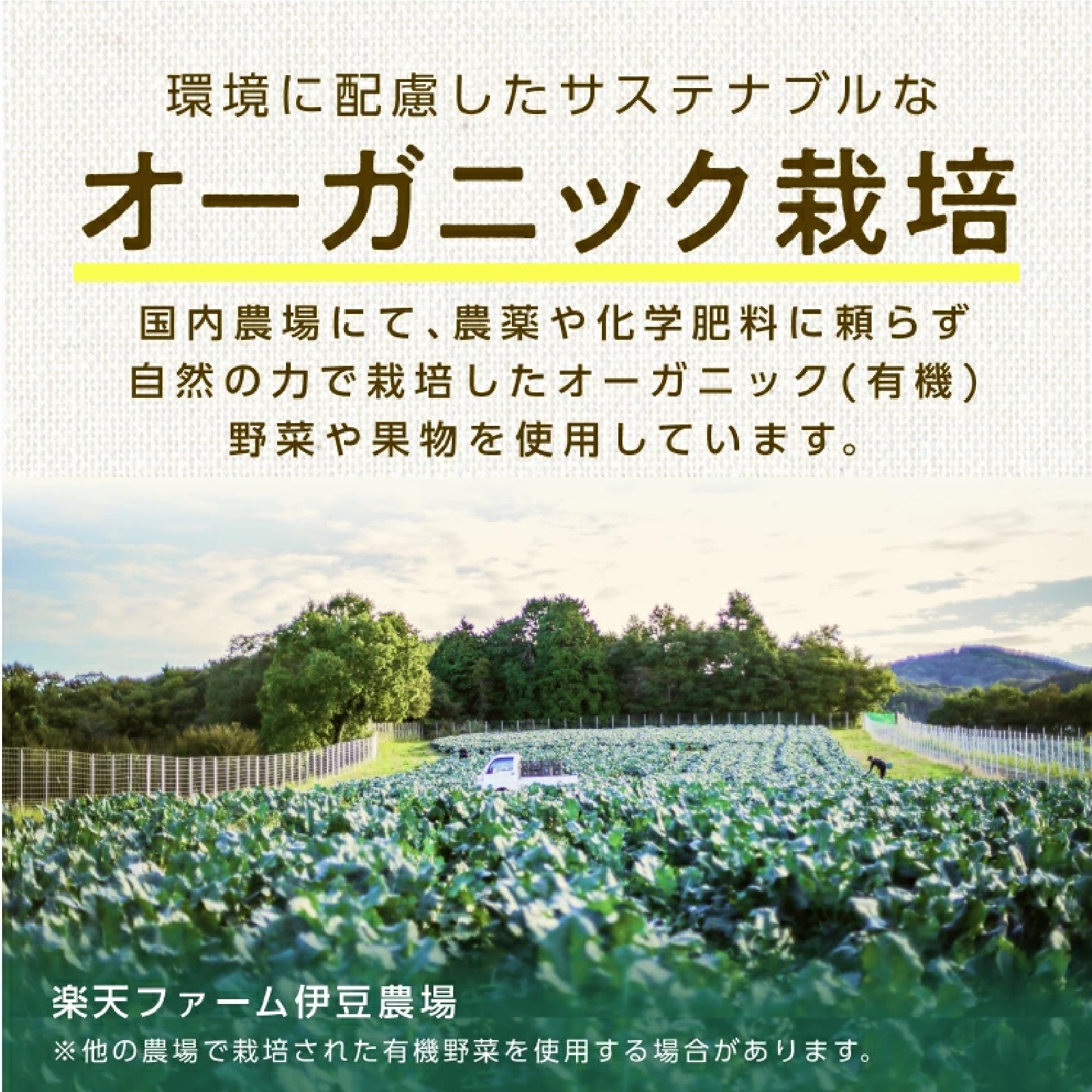 国産オーガニック　冷凍ブロッコリーセット 150g × 6袋