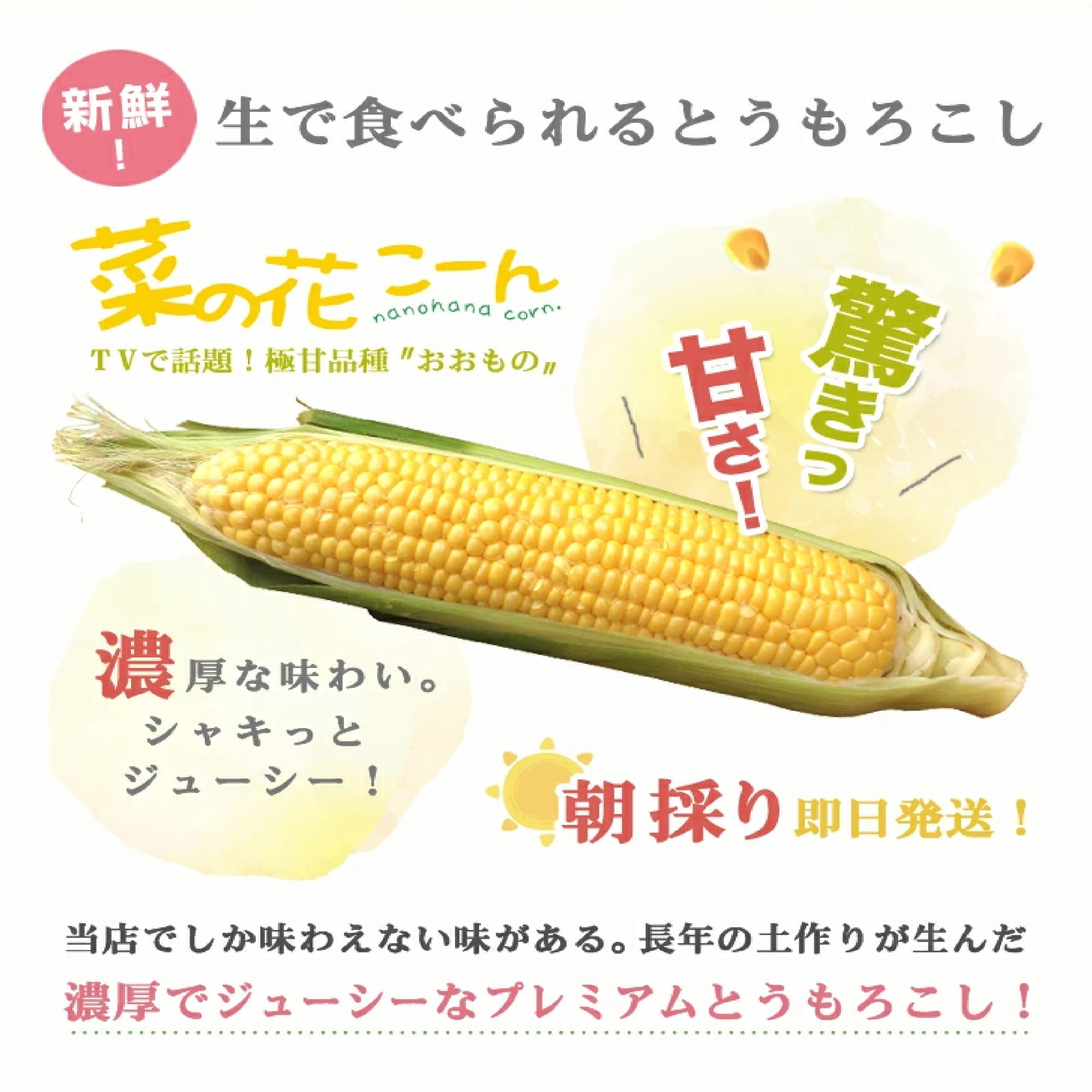 極甘品種おおもの 生で食べられる 菜の花こーん 2Lサイズ5本　※8月以降出荷