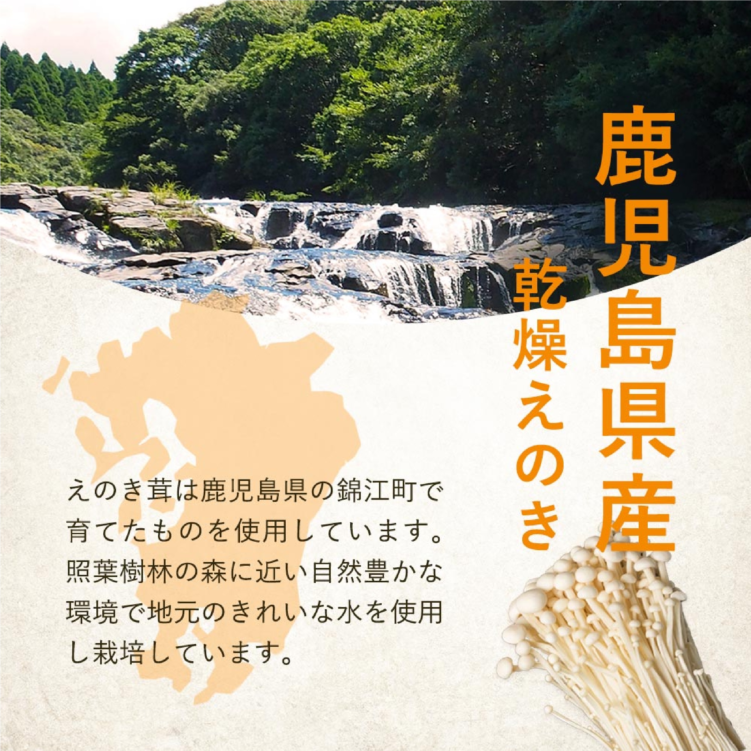 国産 簡単ちゃんとえのき 90g