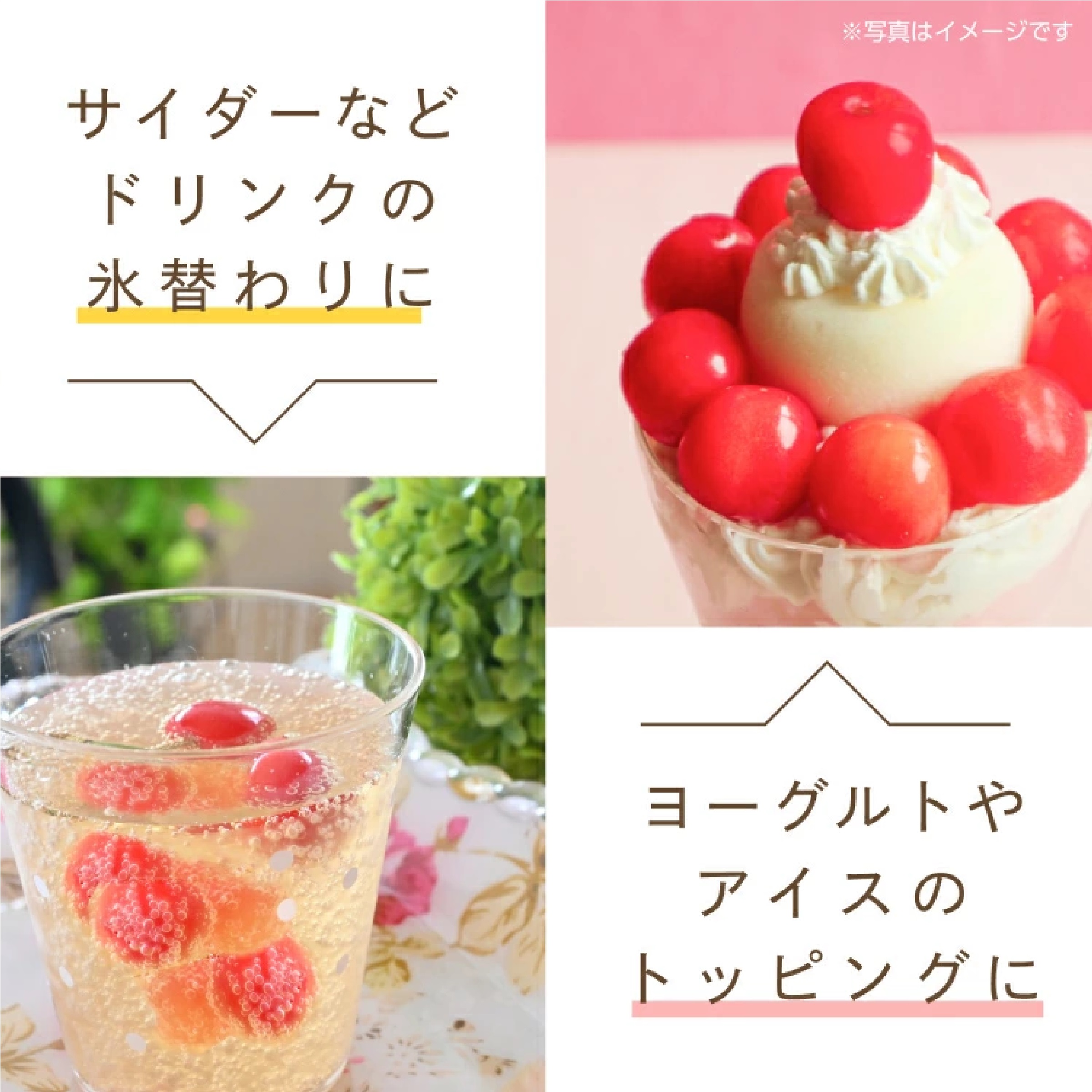 国産冷凍さくらんぼ約1kg(500g×2パック)