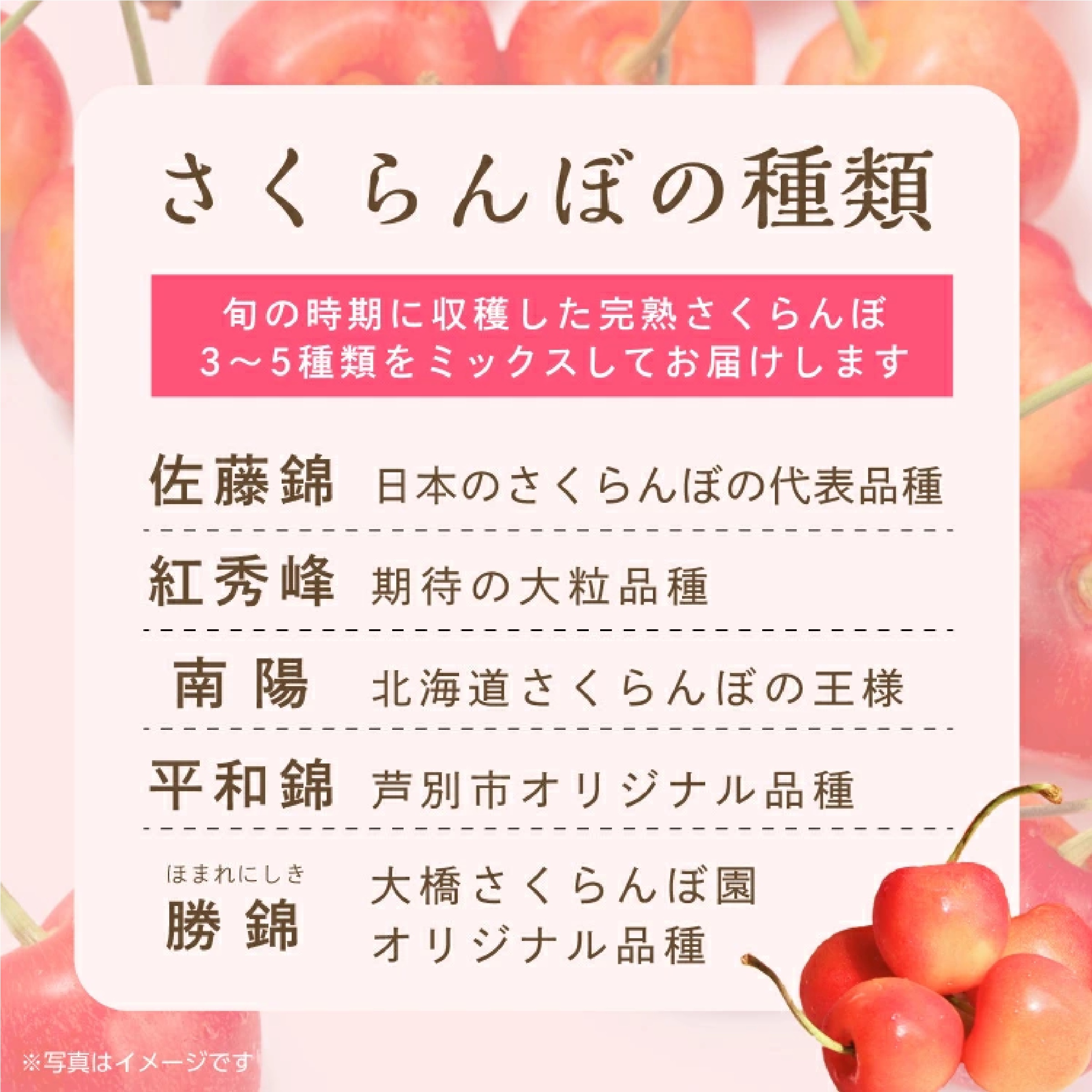 国産冷凍さくらんぼ約1kg(500g×2パック)