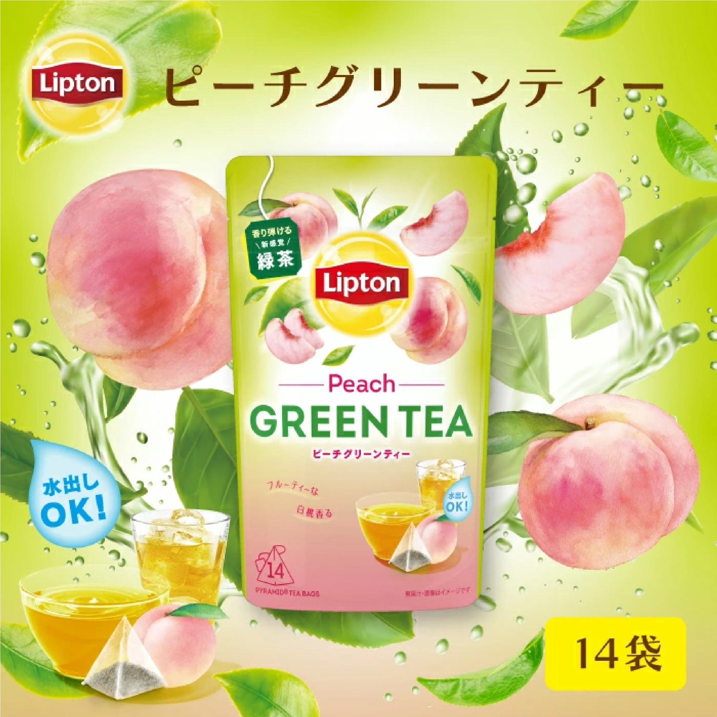 リプトン 緑茶 ギフト グリーンティー＆水出しアイスティー セット