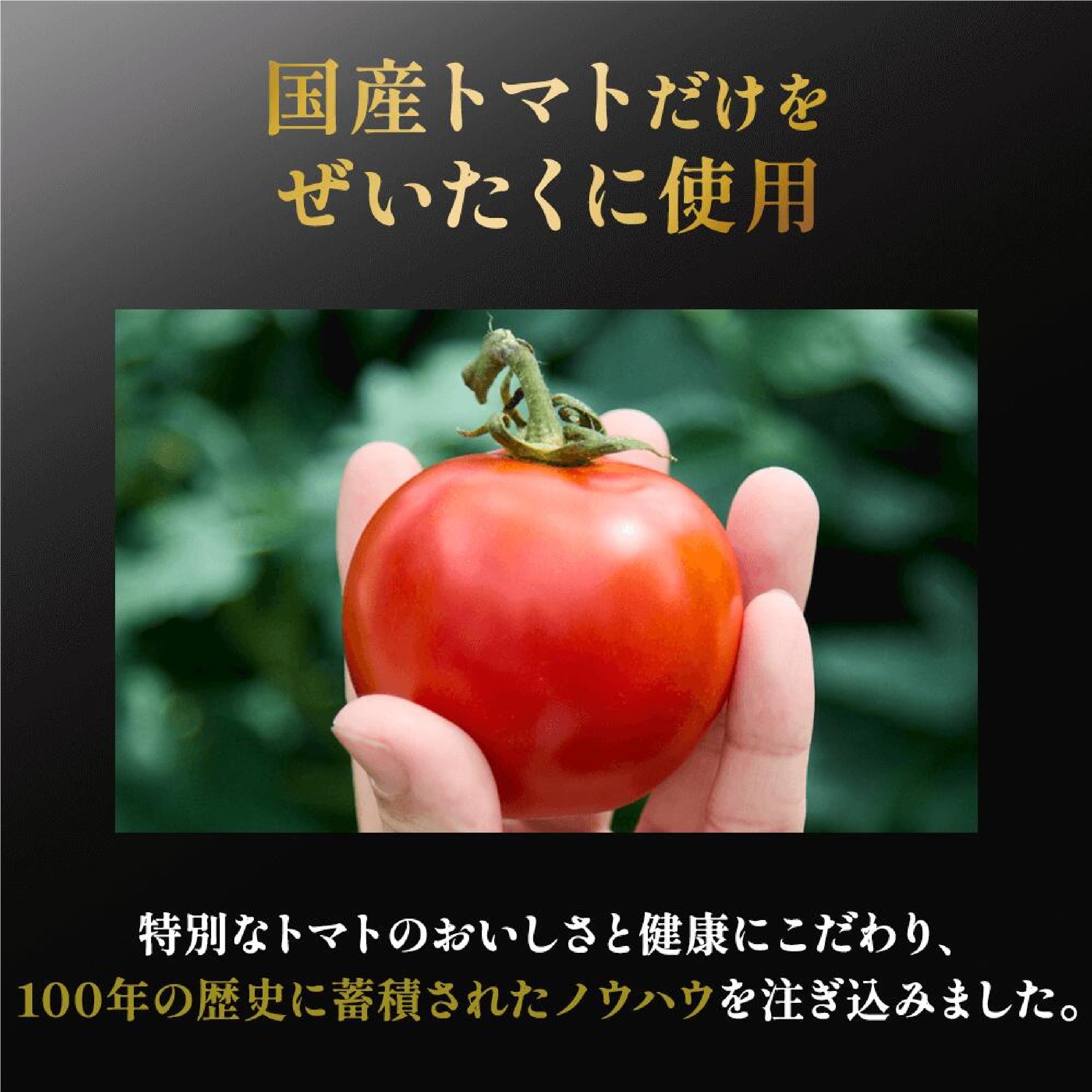 【カゴメ】日本のトマト（トマトジュース）195g×15本