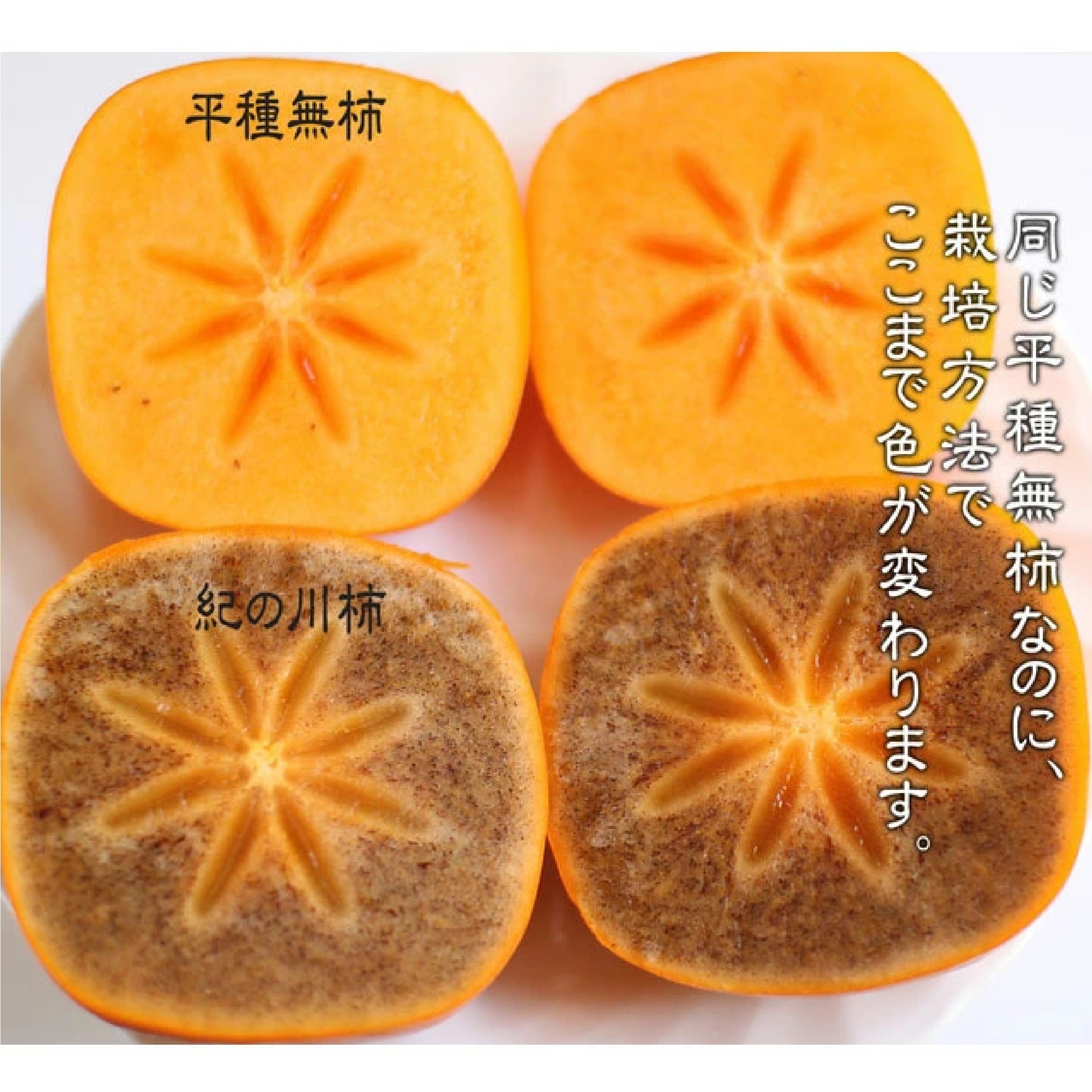 観音山フルーツガーデン 紀の川柿 黒あま蜜柿 訳ありご家庭用 2kg  ※10月以降発送