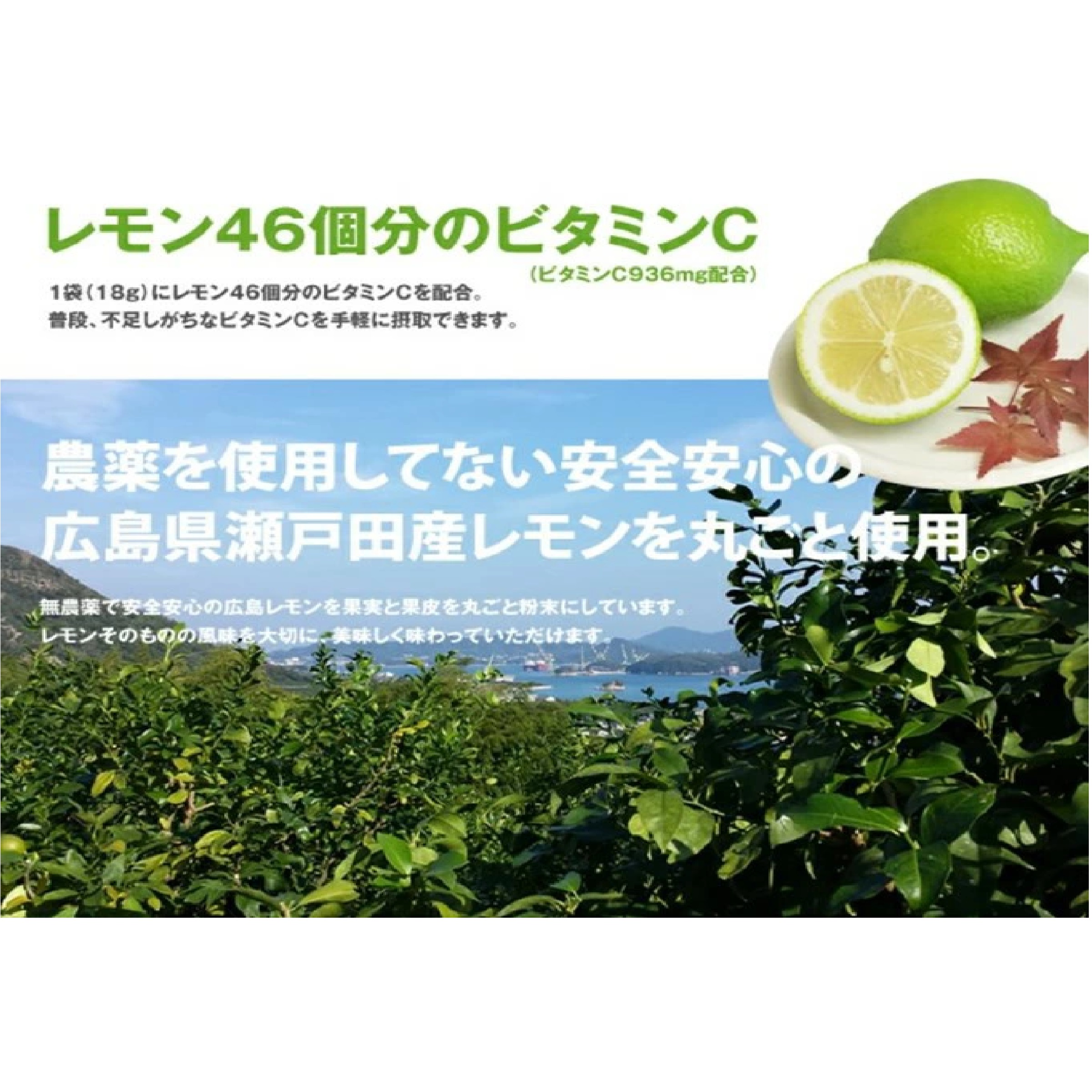 Lemon936 レモネード 20杯分  粉末ドリンク