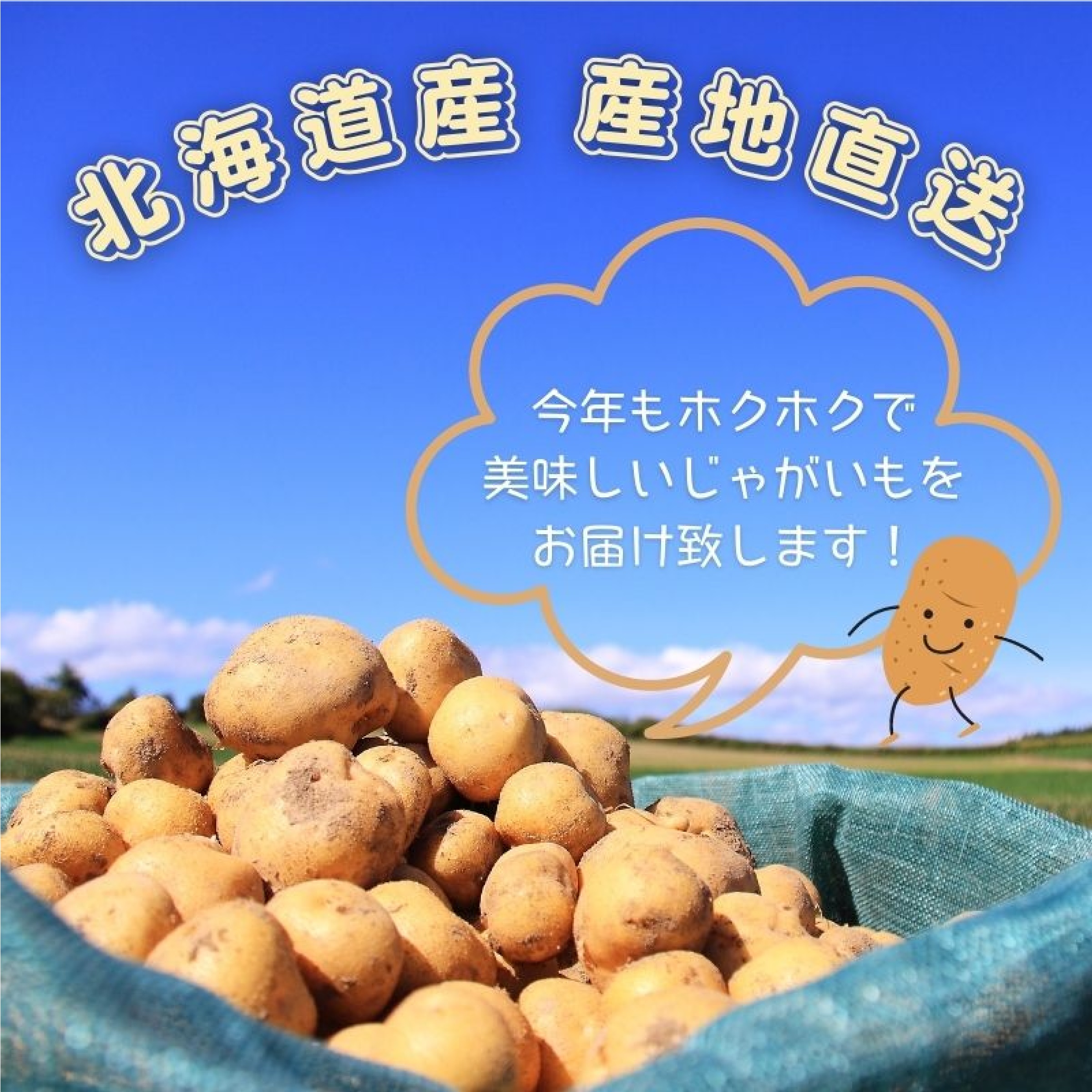 北海道産新じゃがいも インカのめざめ 5kg ※10月以降発送