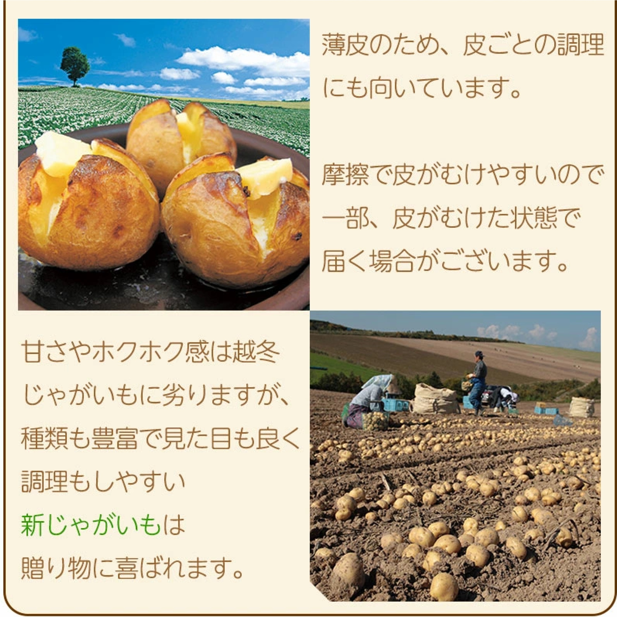 北海道産新じゃがいも インカのめざめ 5kg ※10月以降発送