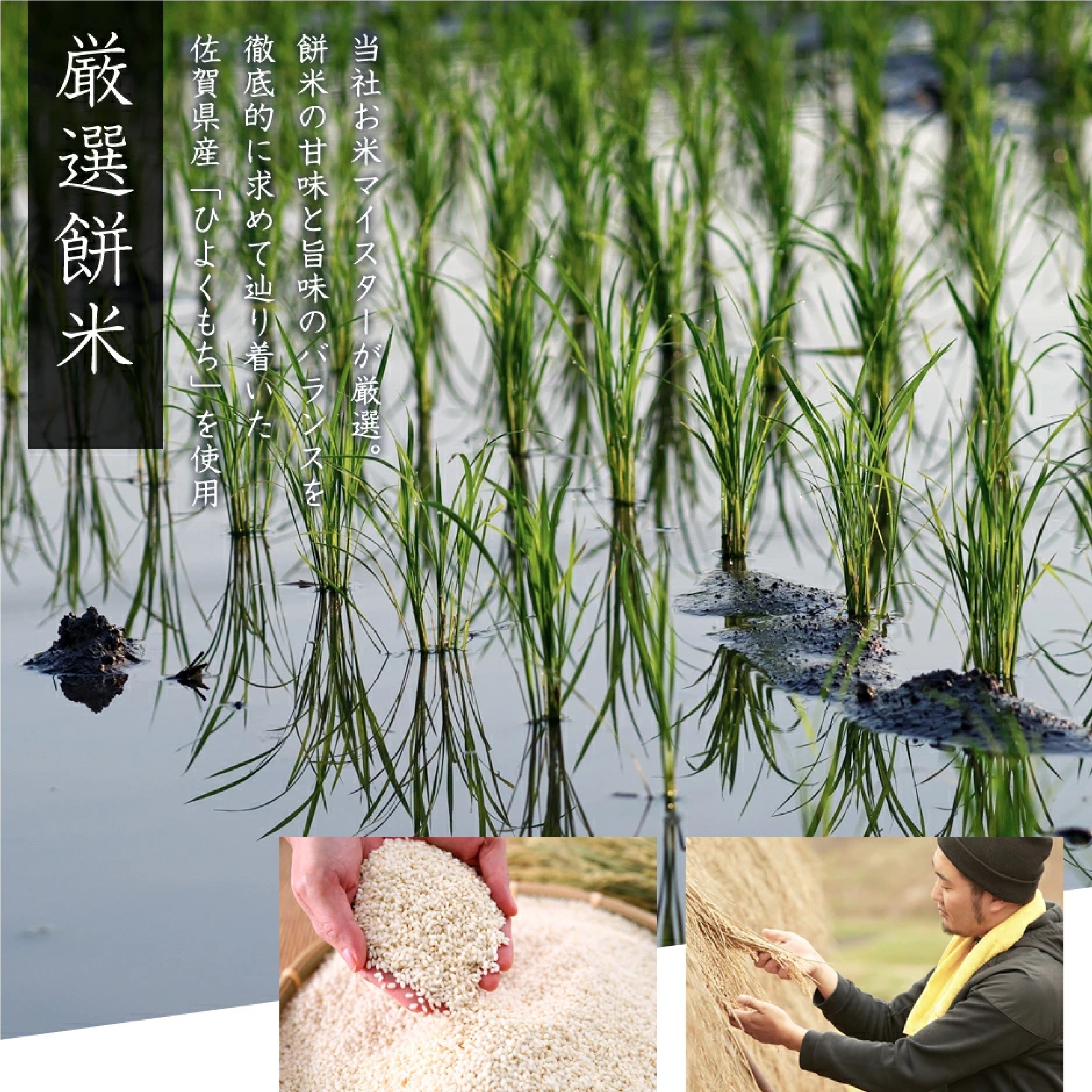 おぢか屋 白丸餅 2kg