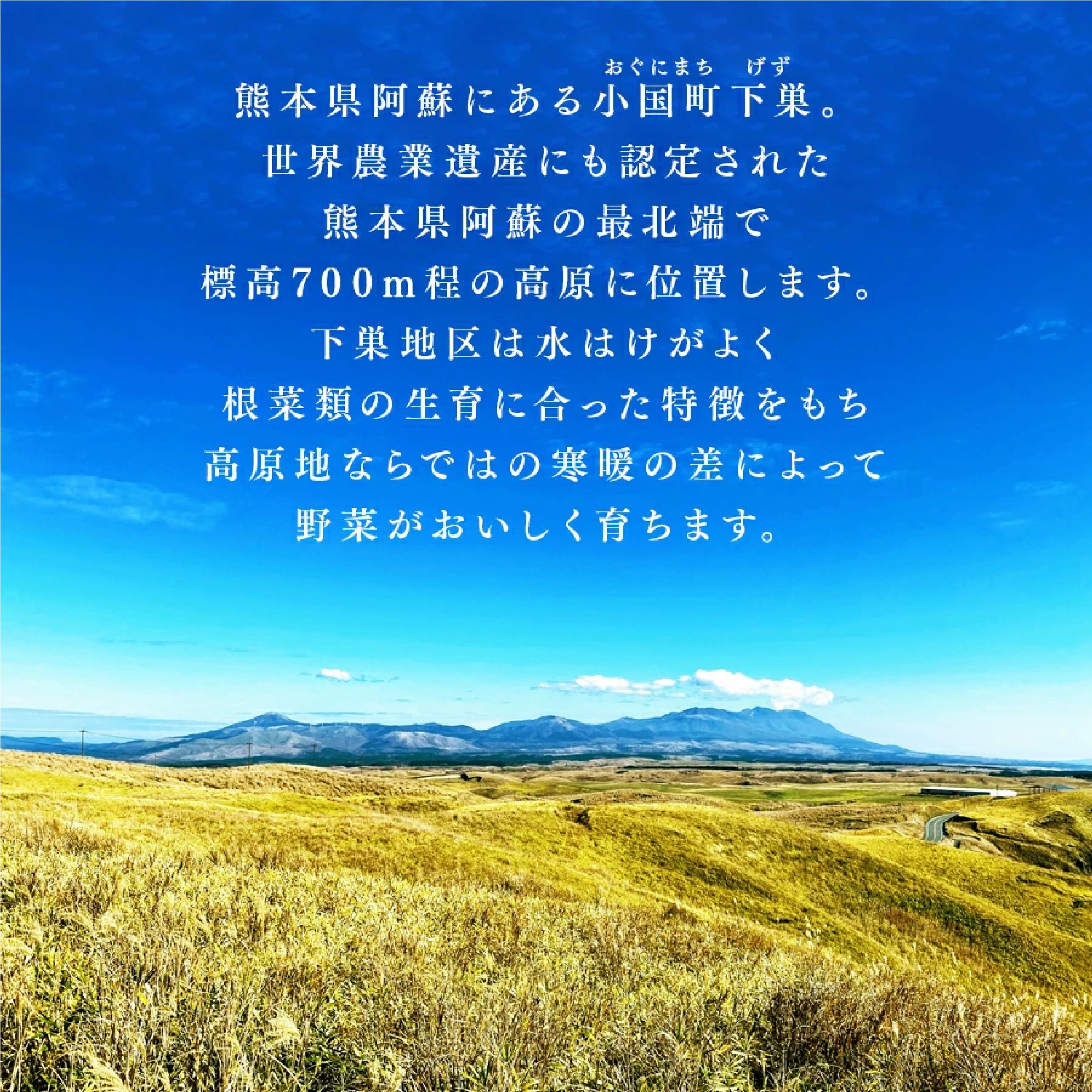 下巣畑農産 熊本県産シルクスイート干し芋 3袋セット（1袋80g）