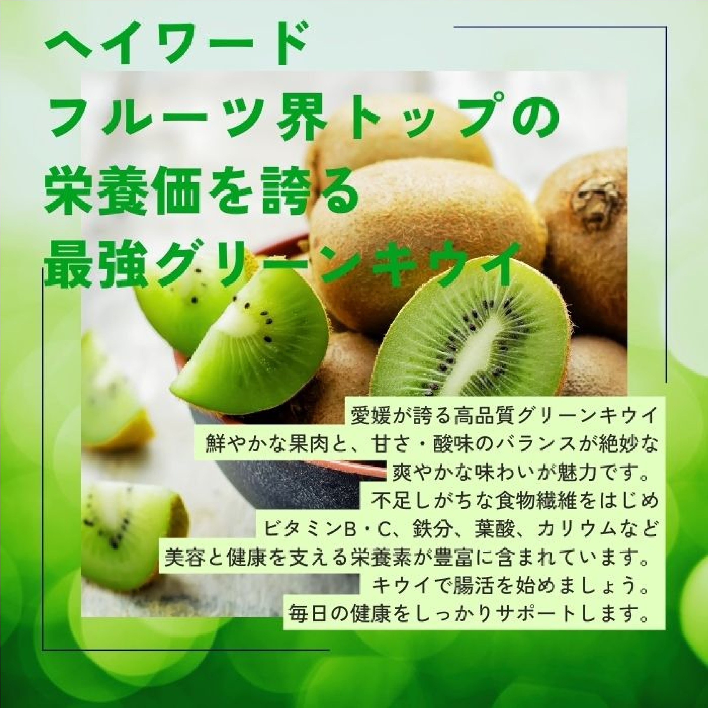 キウイフルーツ 家庭用B品 2.5kg ※11月中旬以降発送