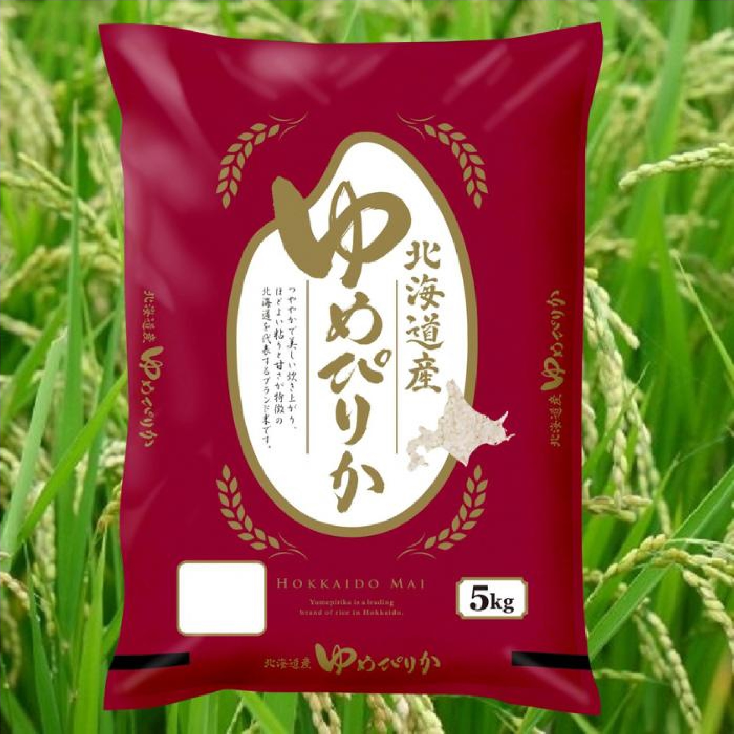 北海道 JAきたそらち 無洗米 ななつぼし 2kg｜お米｜米・パン
