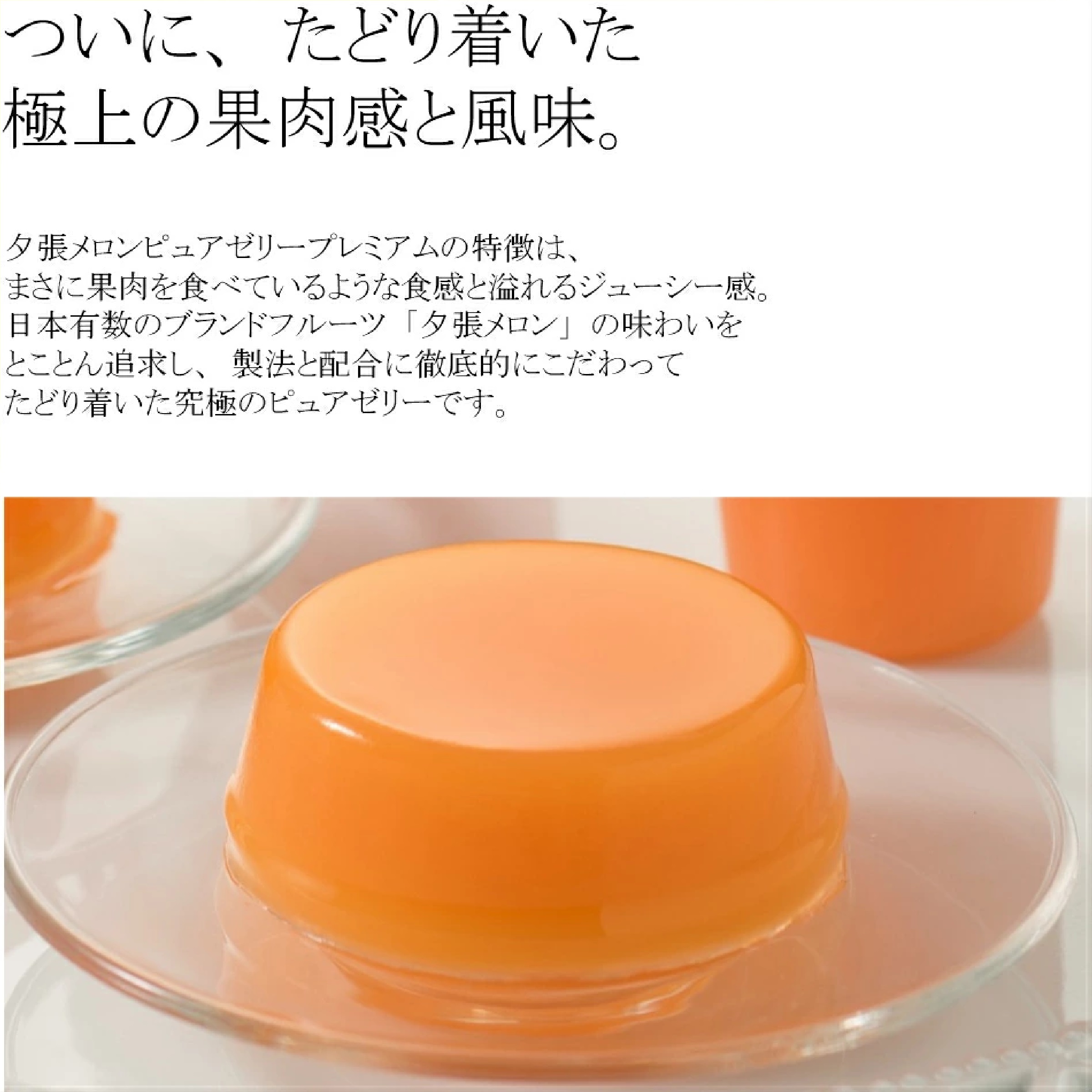 ホリ 夕張メロンピュアゼリープレミアム１２個