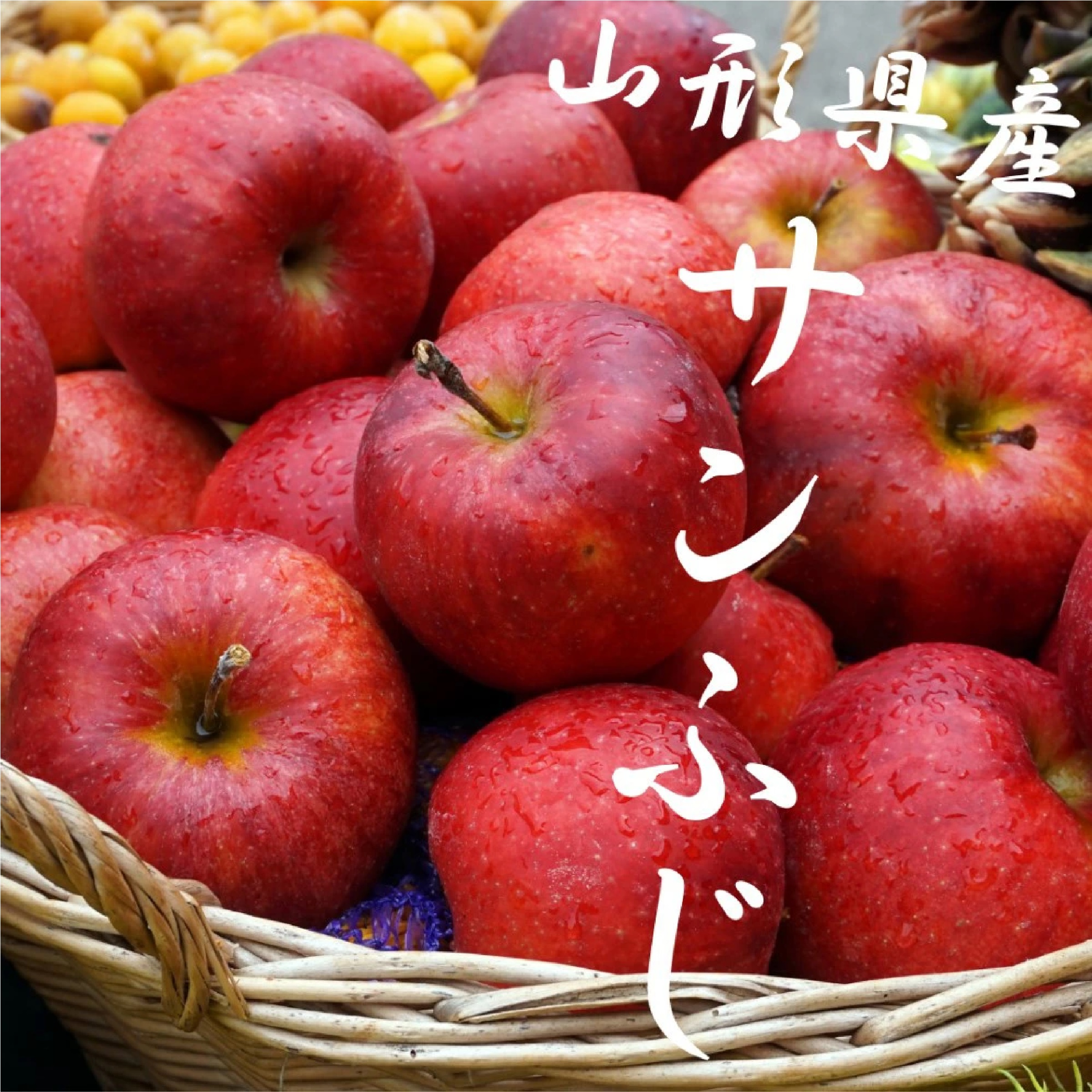 山形県産 訳あり サンふじ約4ｋｇ ※12月下旬以降発送