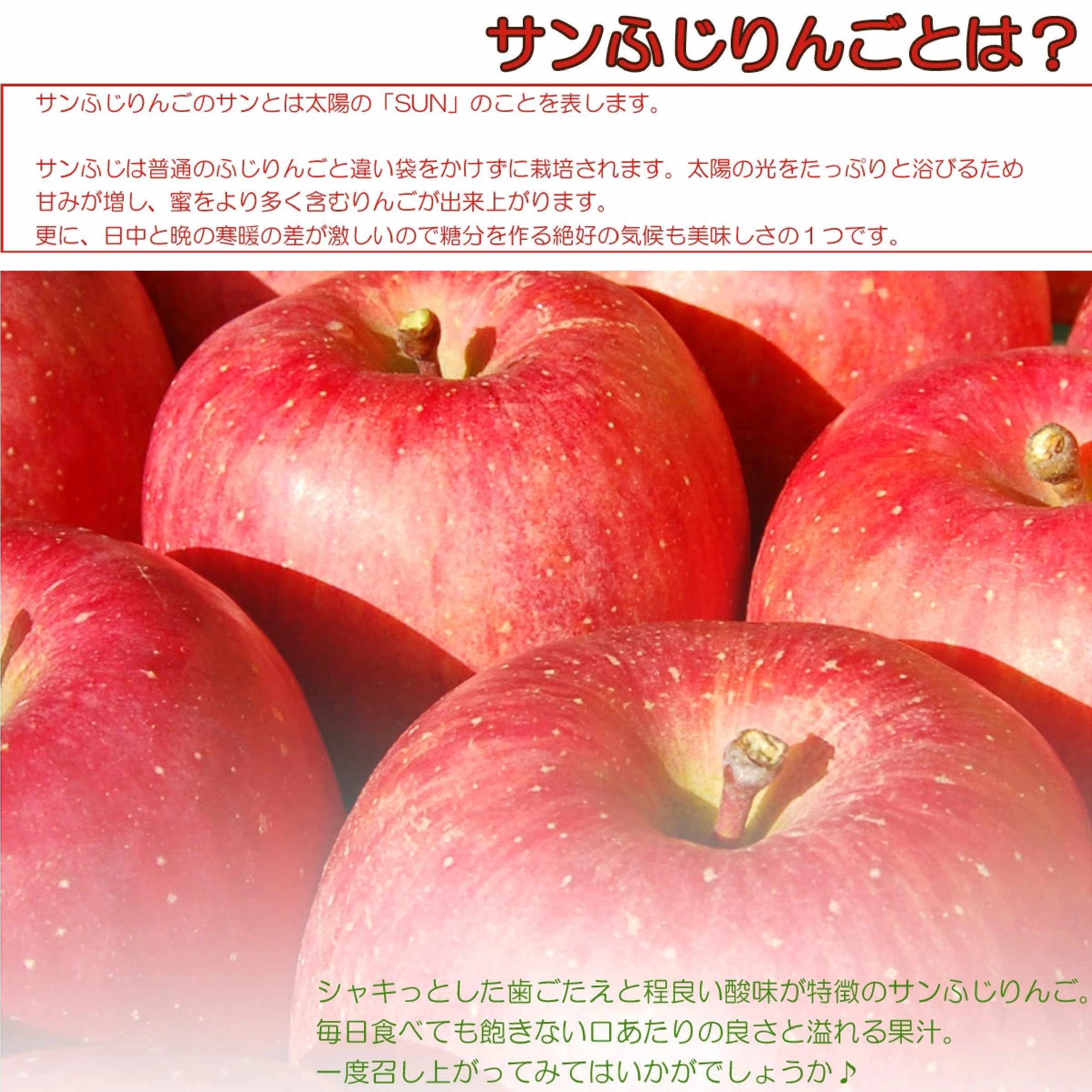 山形県産 訳あり サンふじ約4ｋｇ ※12月下旬以降発送