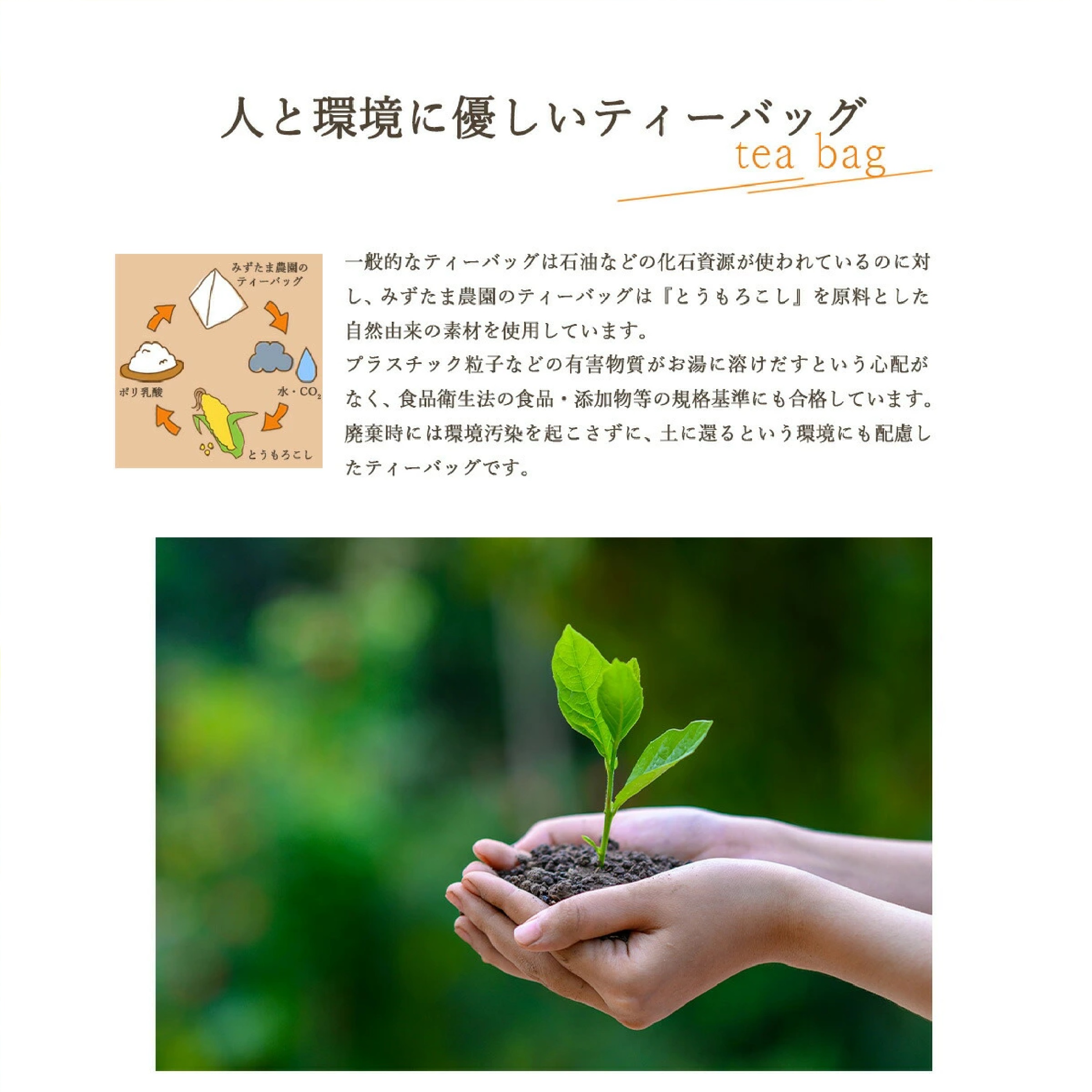 みずたま農園製茶場 ゴクゴクすっきり和紅茶ティーバッグ 100個入