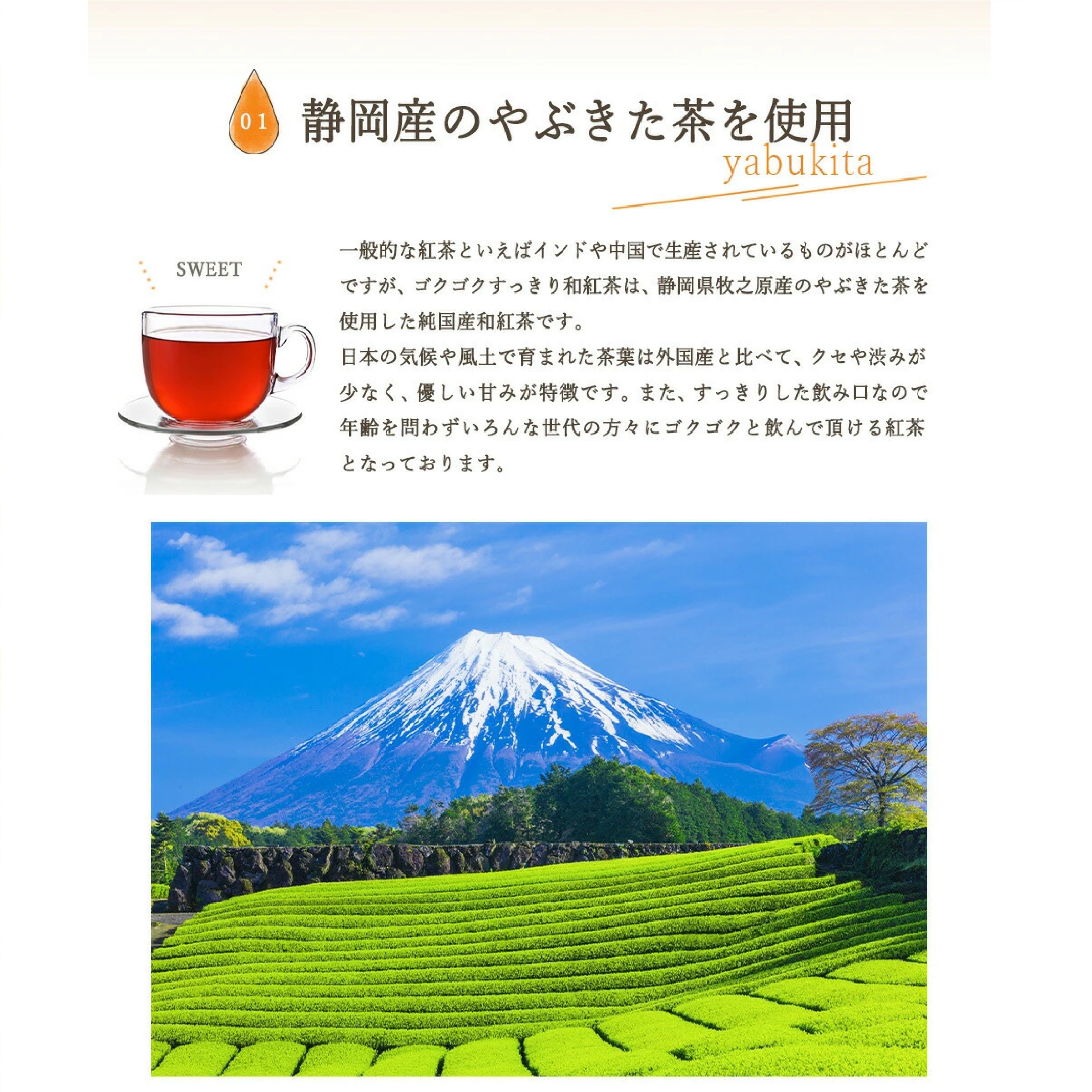 みずたま農園製茶場 ゴクゴクすっきり和紅茶ティーバッグ 100個入