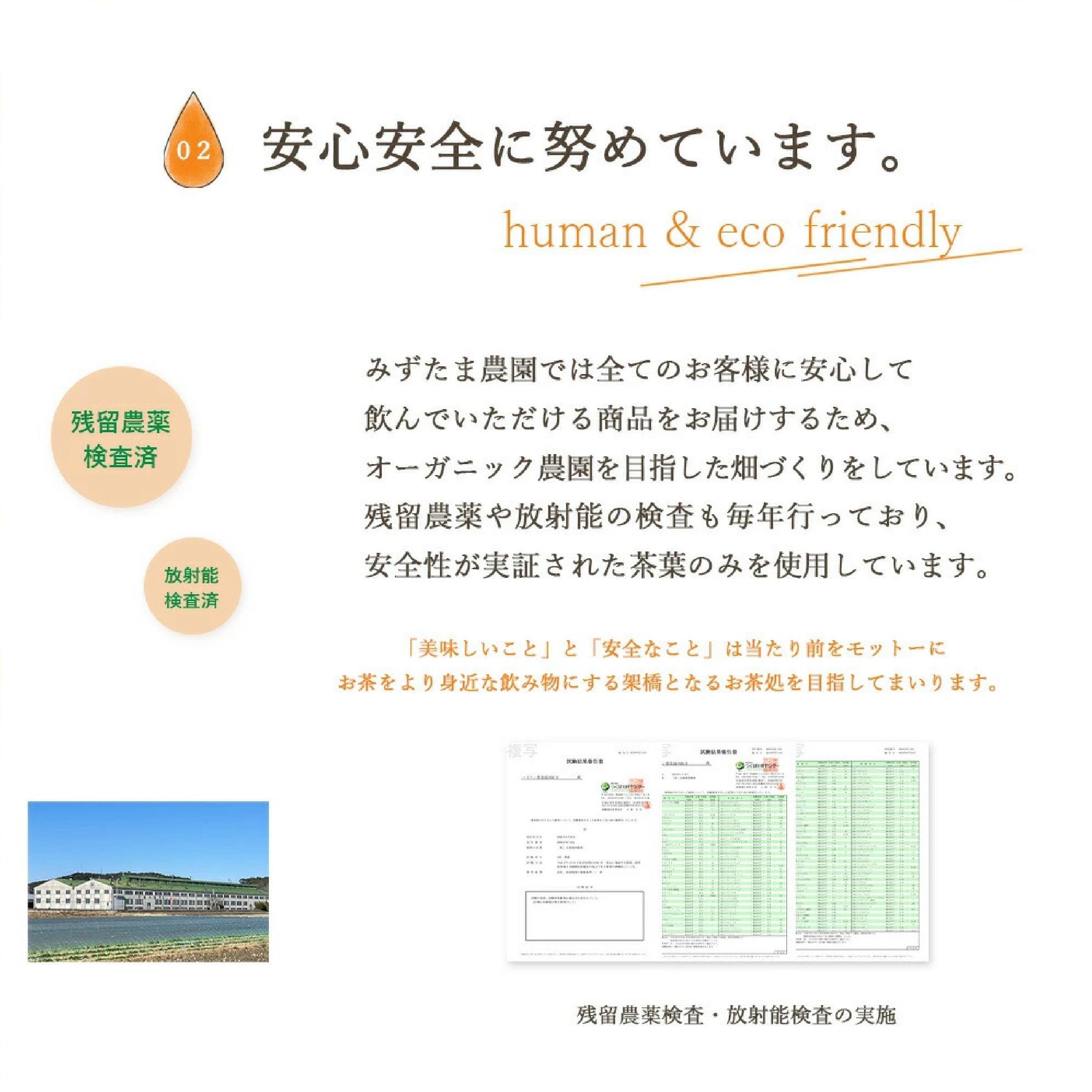 みずたま農園製茶場 ゴクゴクすっきり和紅茶ティーバッグ 100個入