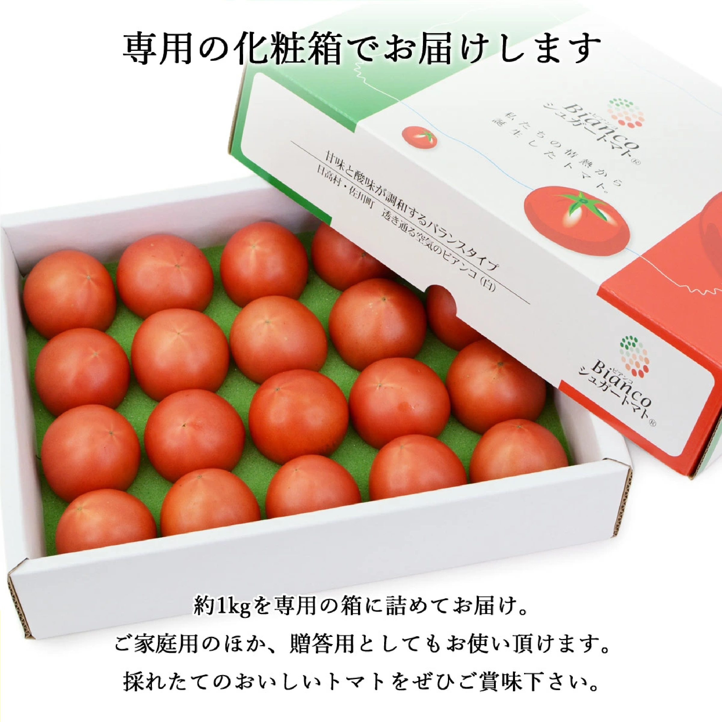 日高村 フルーツトマト 約1kg ※12月以降発送