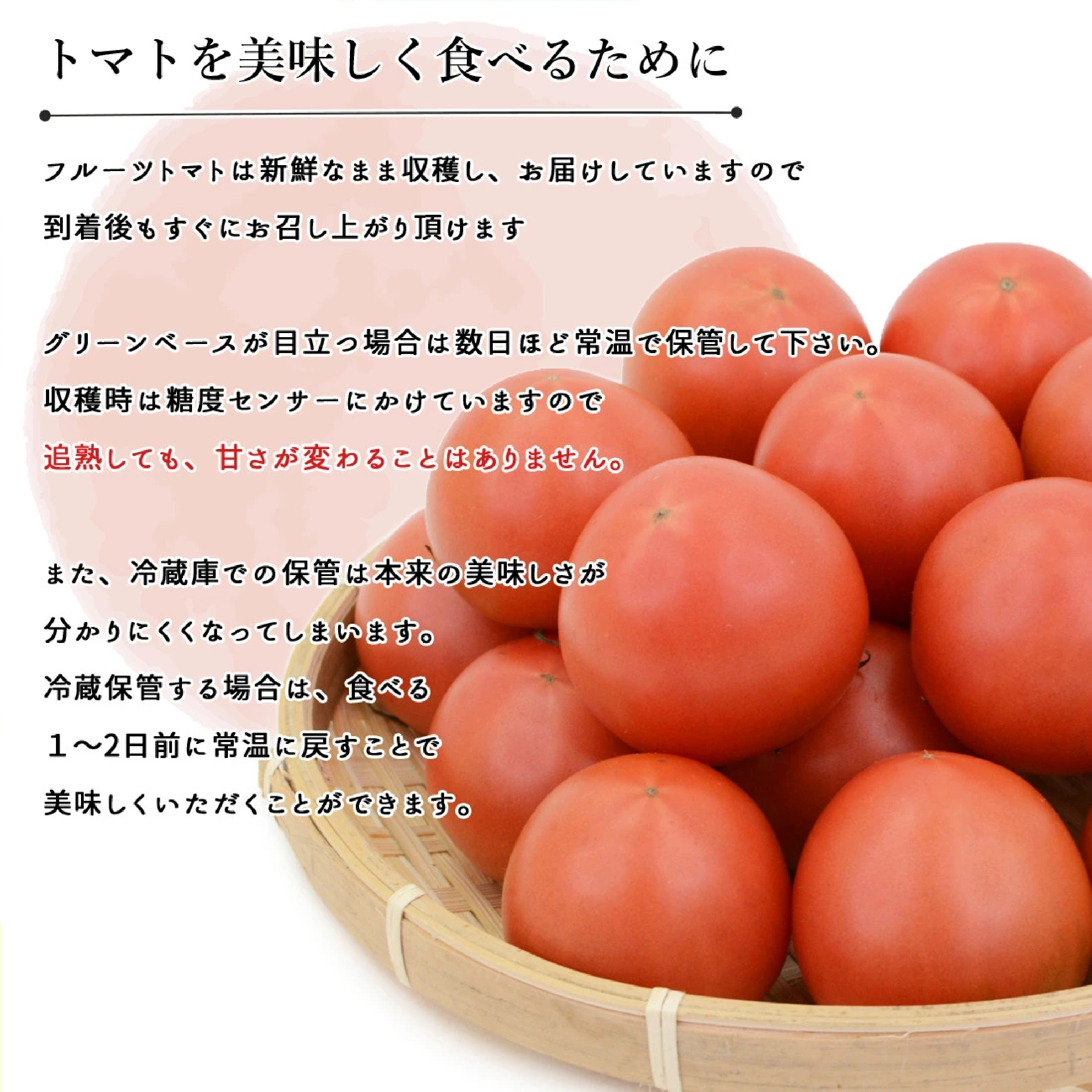 日高村 フルーツトマト 約1kg ※12月以降発送