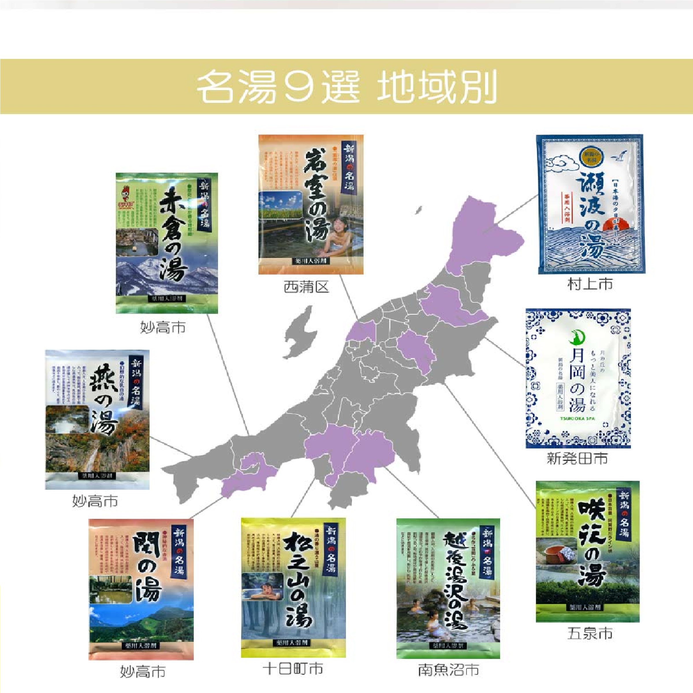 新潟の名湯・秘湯シリーズ+新潟の湯巡りシリーズ 12個セット