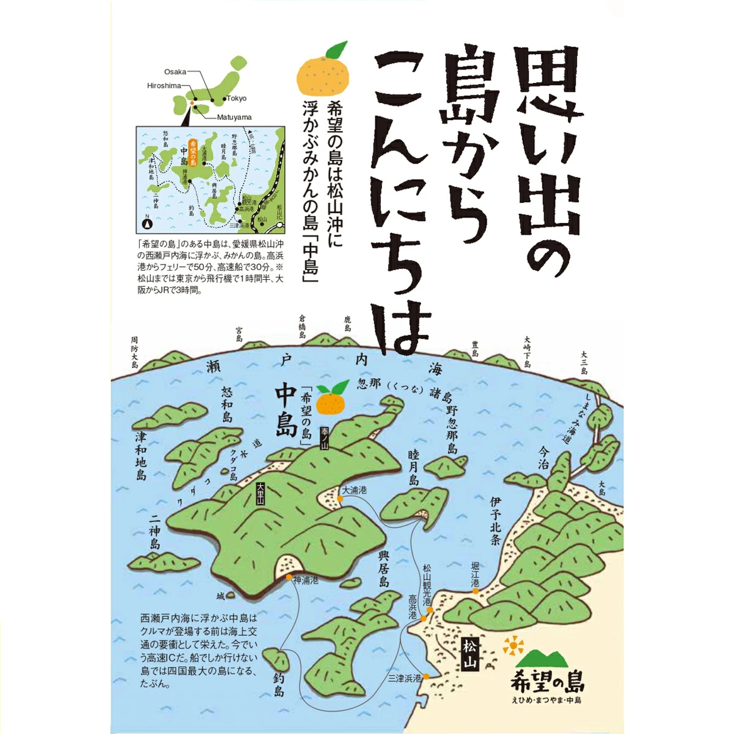 愛媛 中島産 希望の島 温州みかん 甘小粒 5kg ※12月以降発送