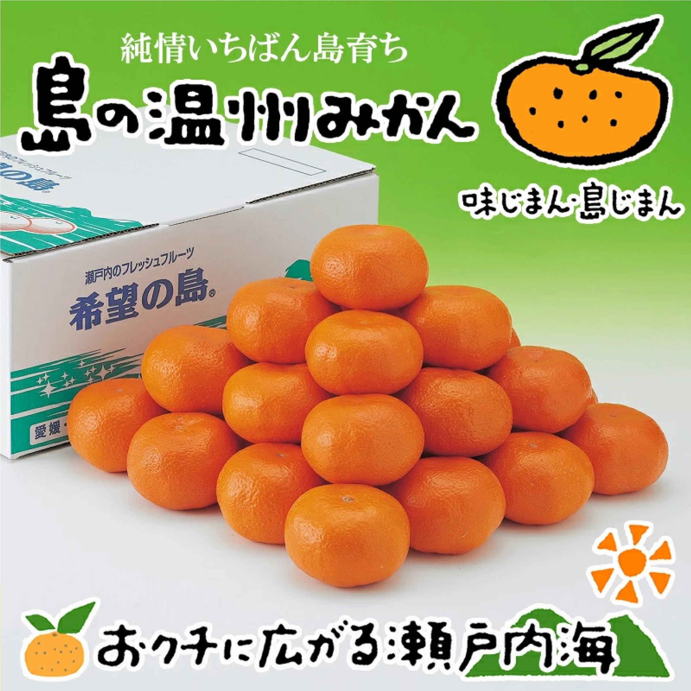 愛媛 中島産 希望の島 温州みかん 甘小粒 5kg ※12月以降発送