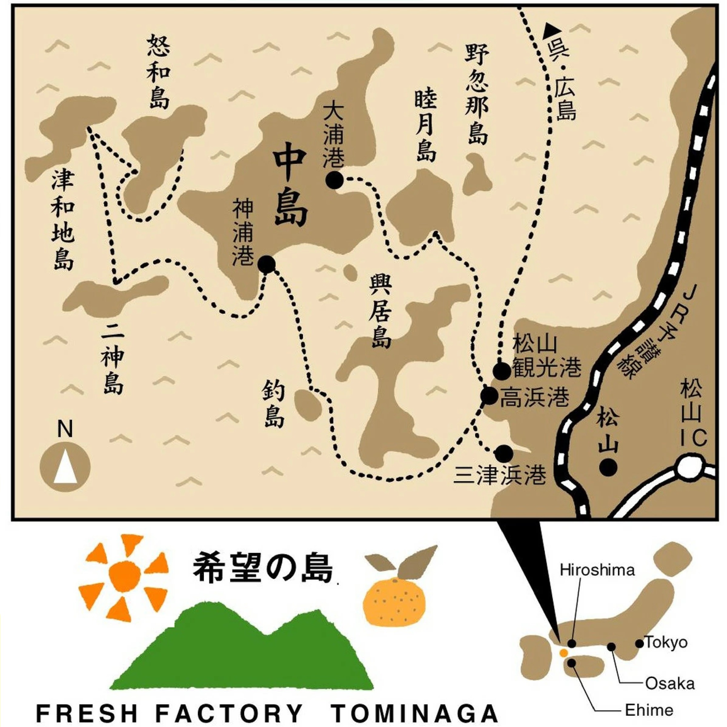 愛媛 中島産 希望の島 温州みかん 甘小粒 5kg ※12月以降発送
