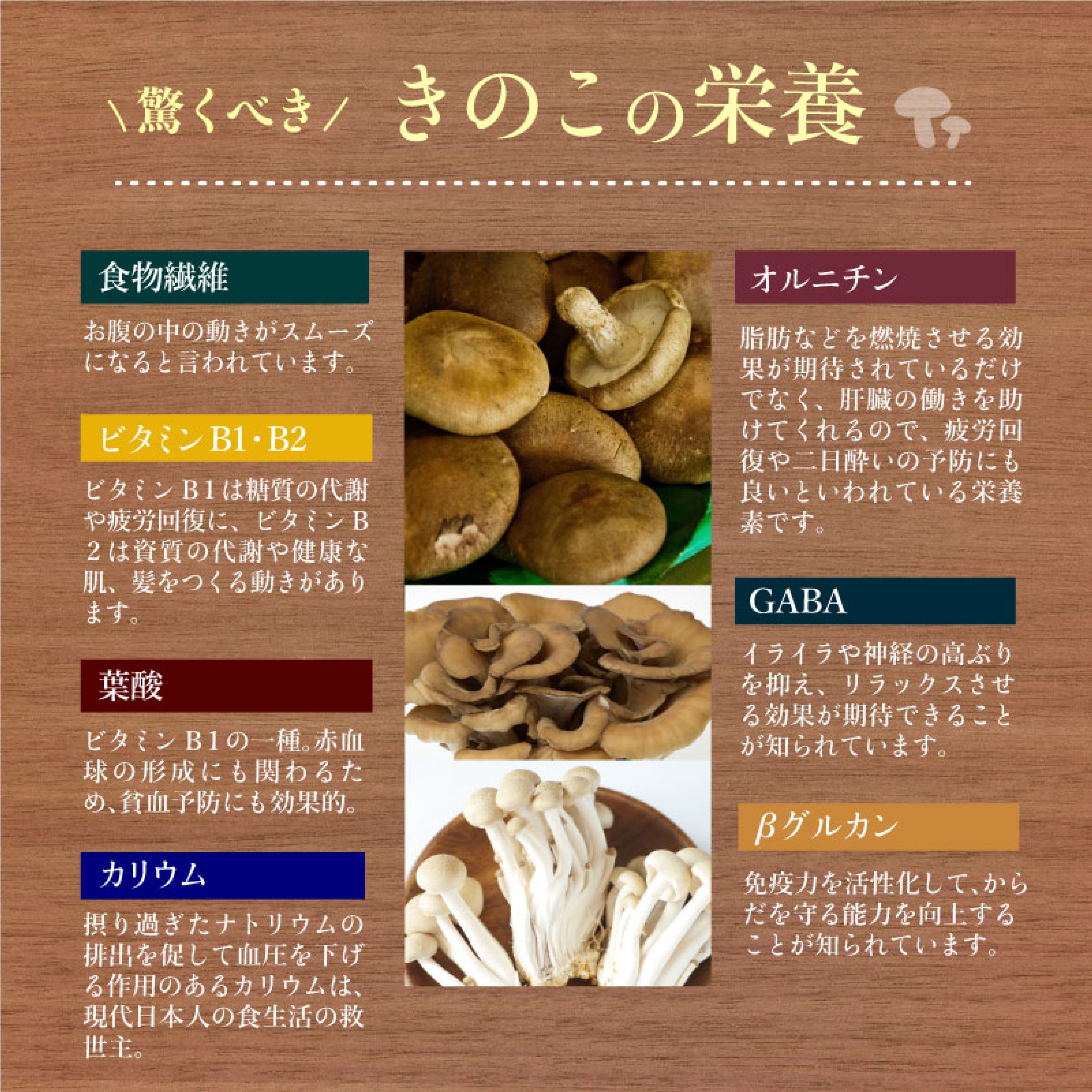 椎茸屋が作った 炊き込みご飯の素５袋セット 【椎茸、舞茸、しめじ、とりきのこ、舞茸五目】