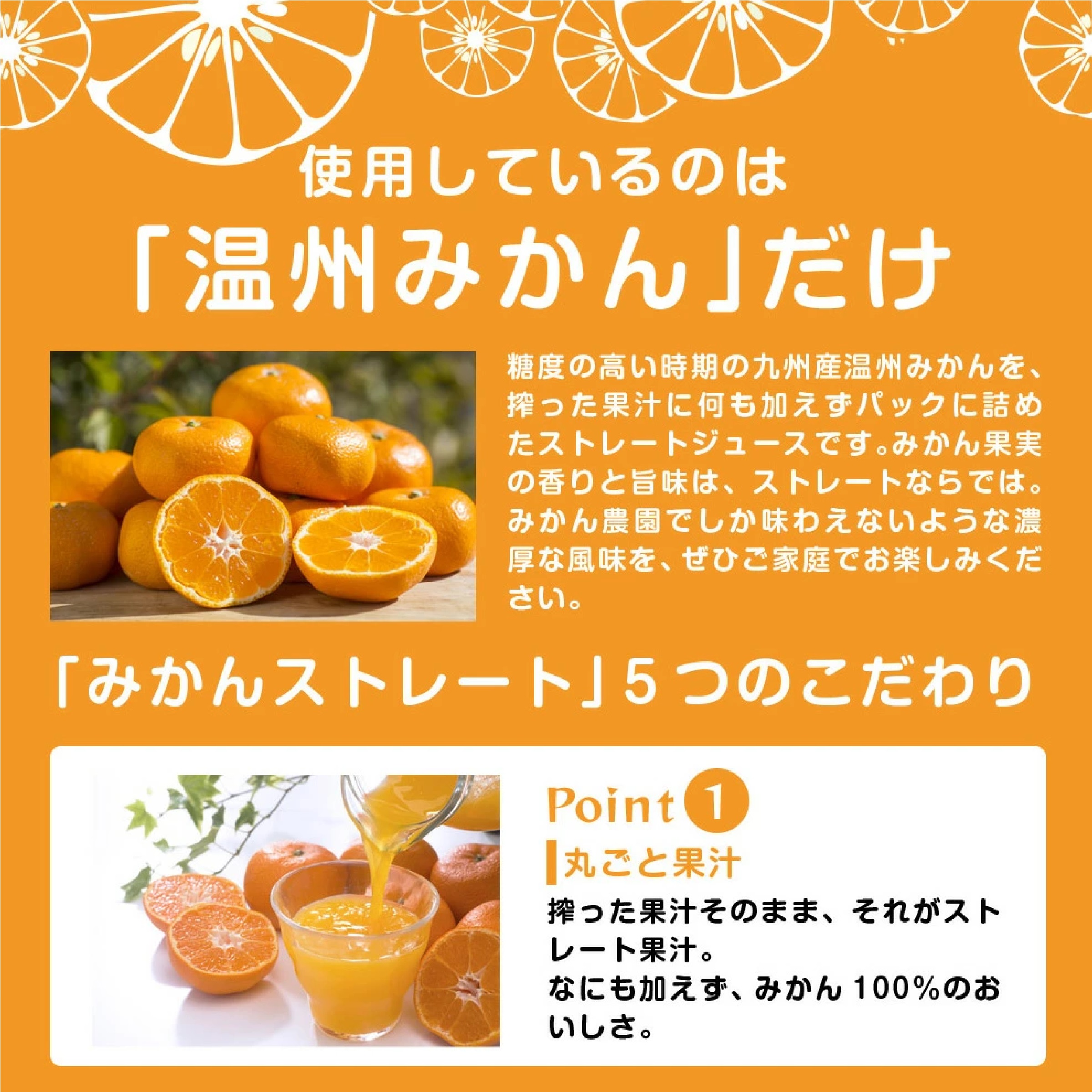 ジューシー 熊本みかんストレート100％【200ml×24本入】
