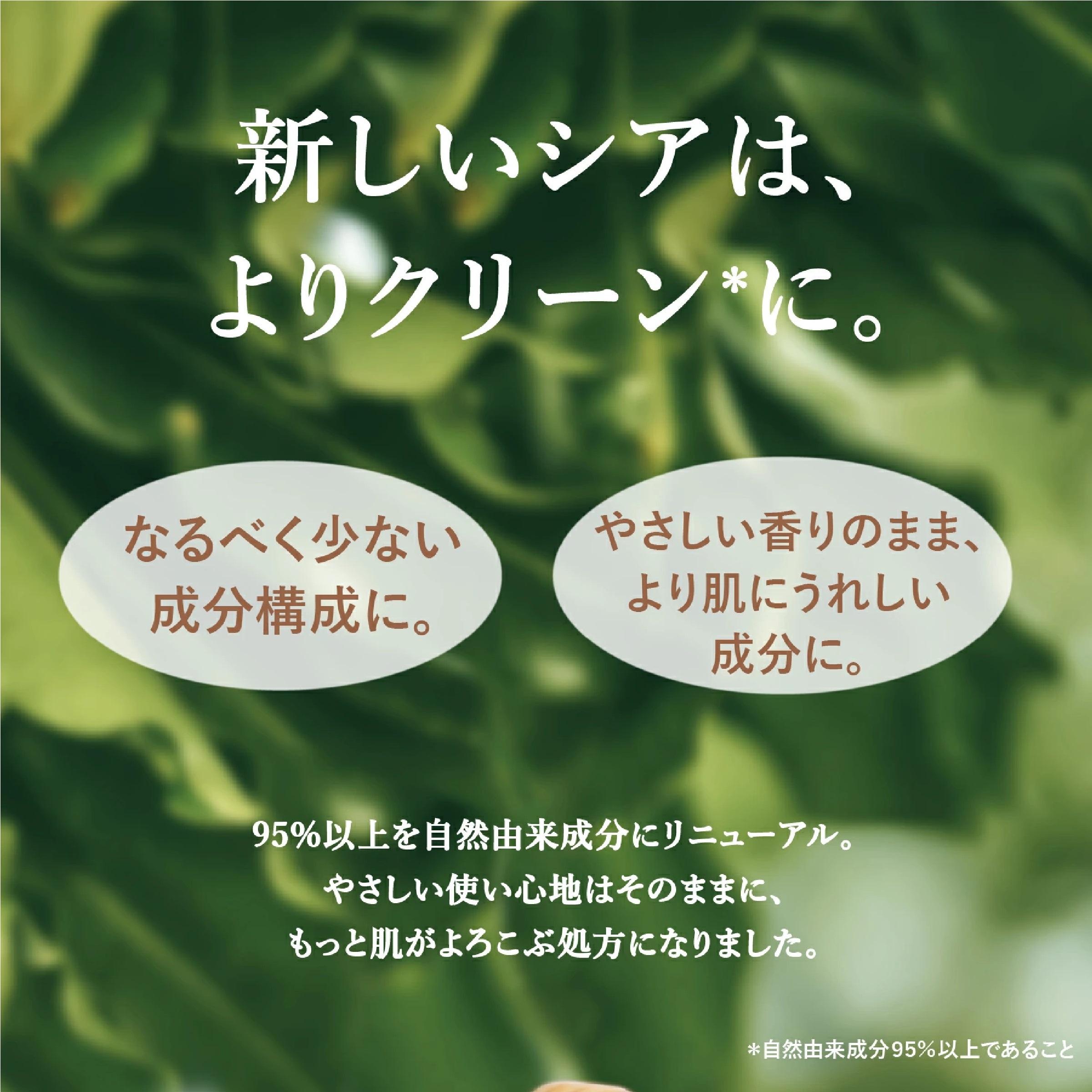 L'OCCITANE シア ジェントルハンドローション 300mL