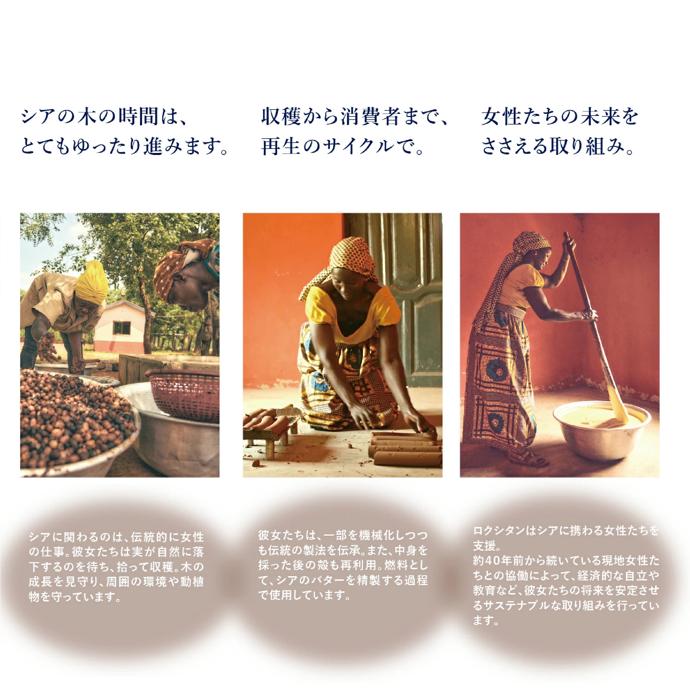  L'OCCITANE シア ジェントルハンドローション 300mL