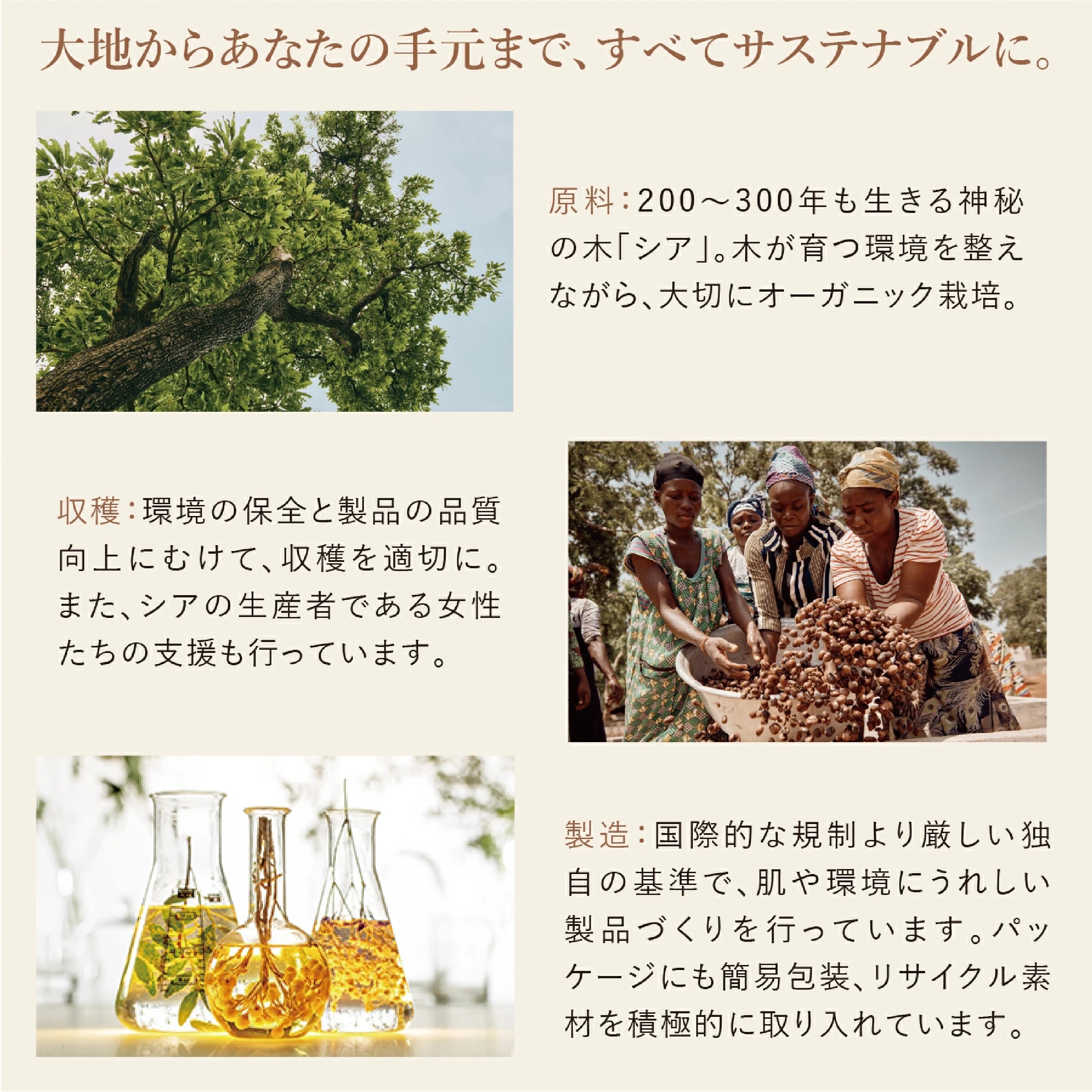  L'OCCITANE シア ジェントルハンドローション 300mL
