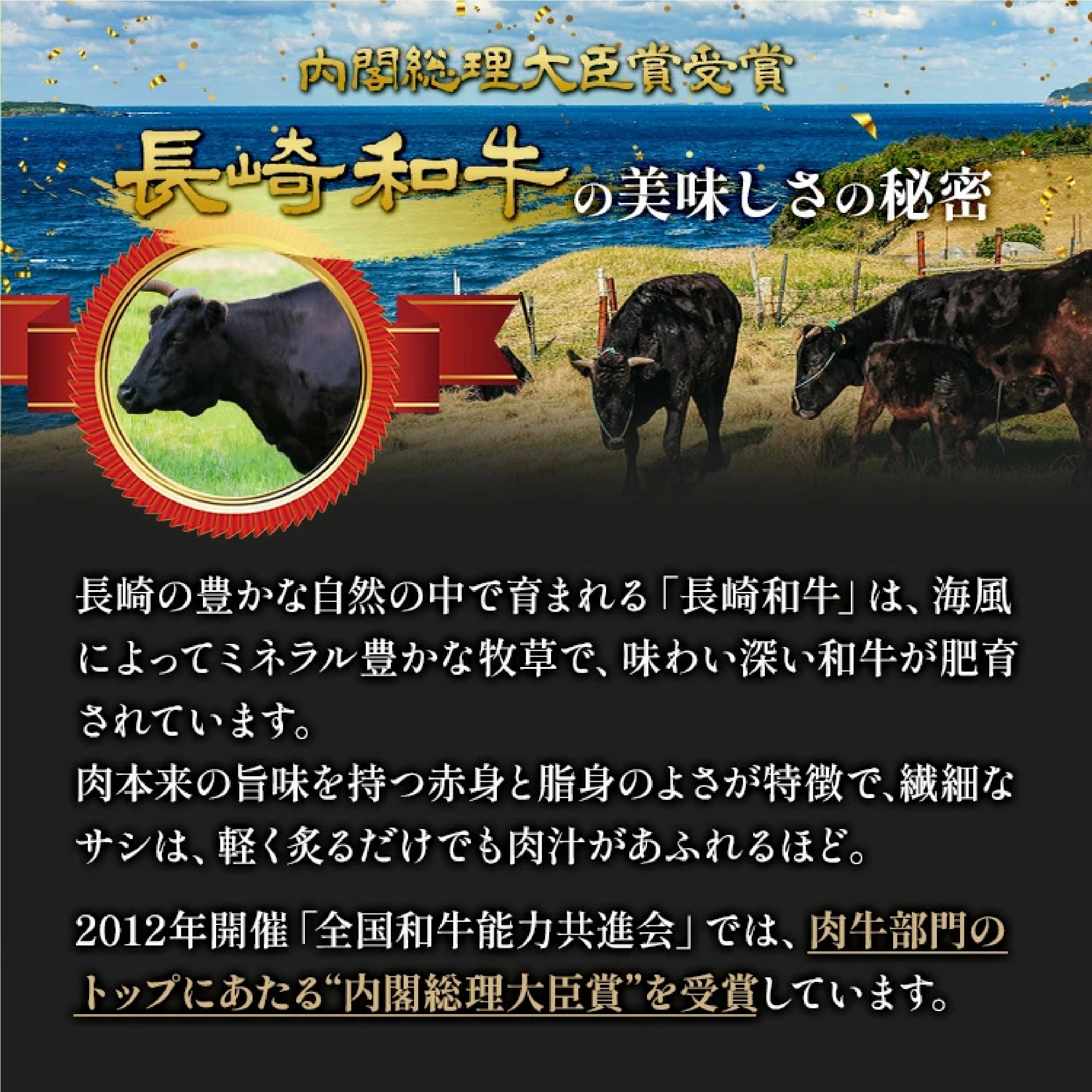 長崎和牛 ミスジ ステーキ 約100g× 2枚