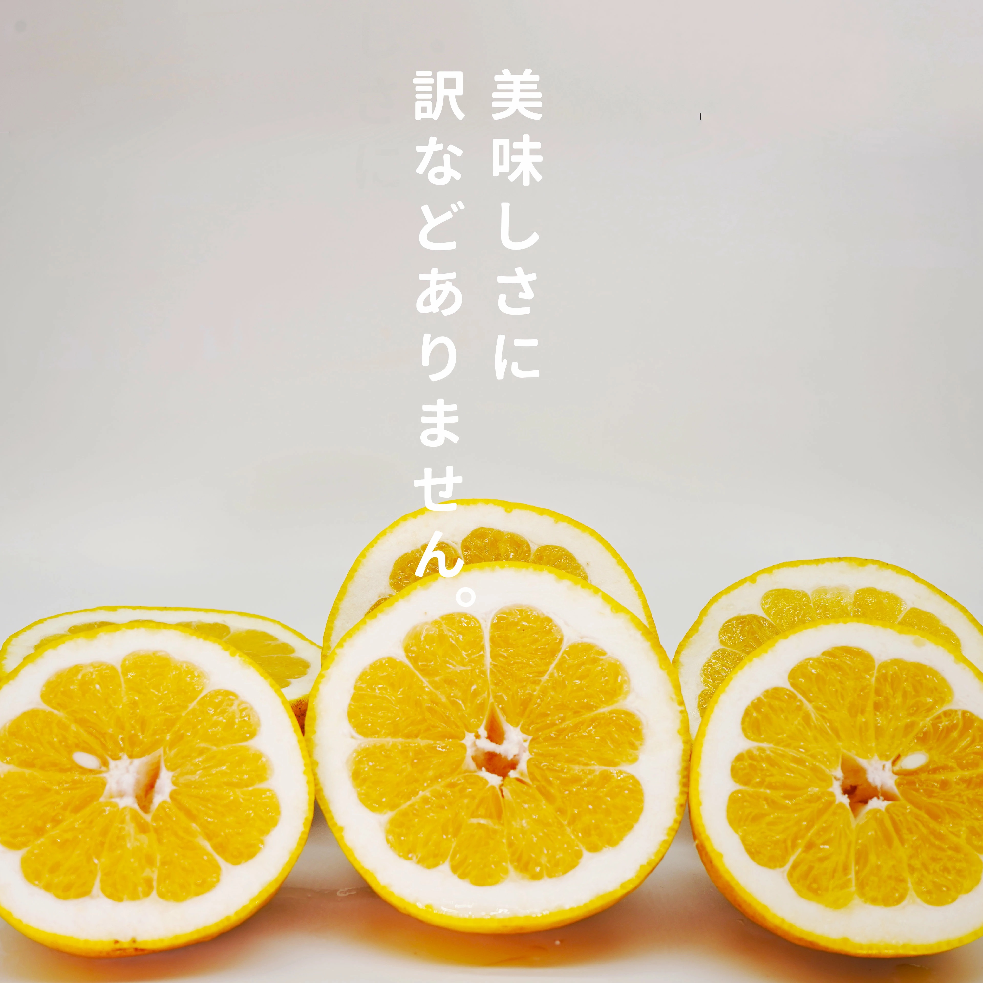 愛媛県産 河内晩柑 5kg ※2026年3月以降発送