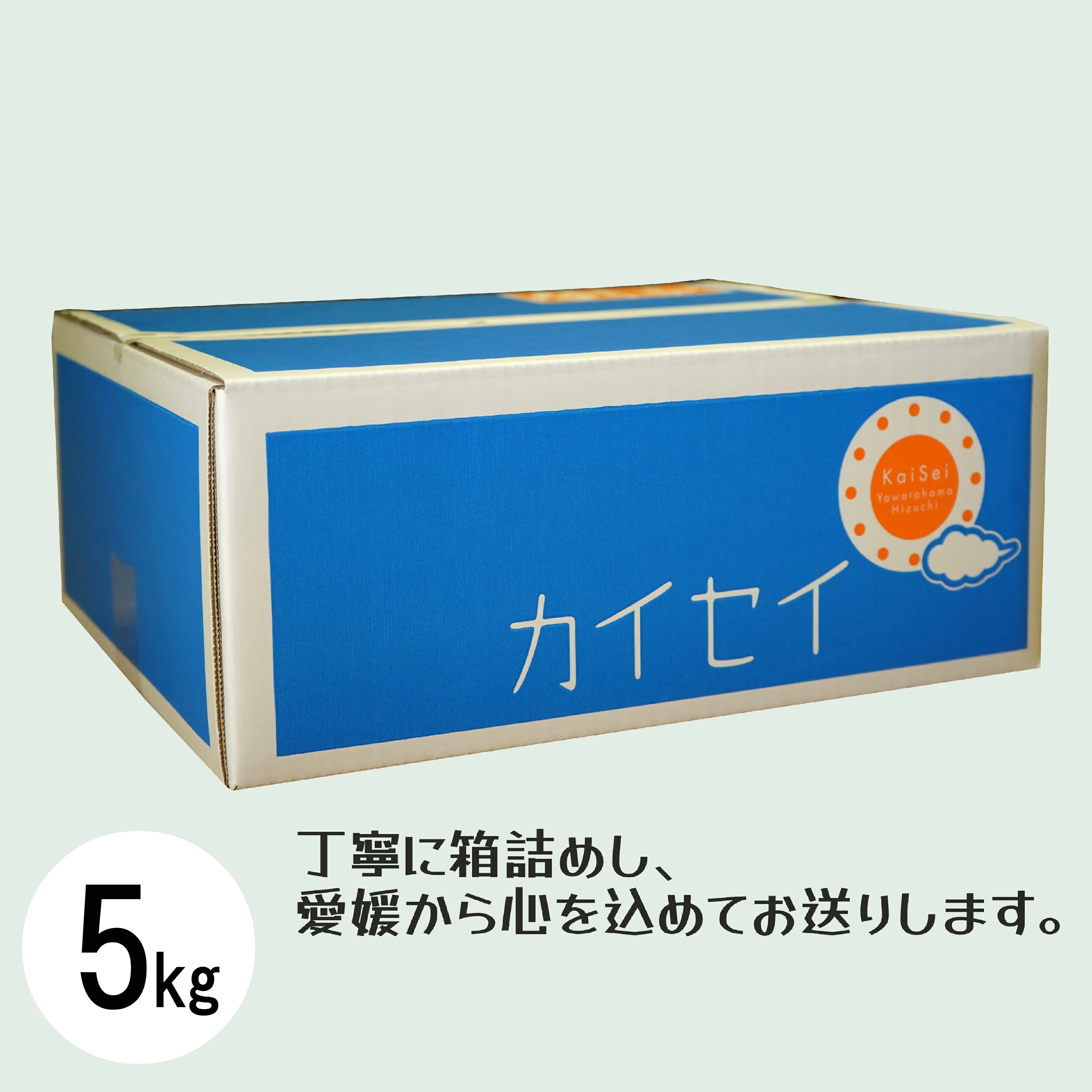 愛媛県産 河内晩柑 5kg ※2026年3月以降発送