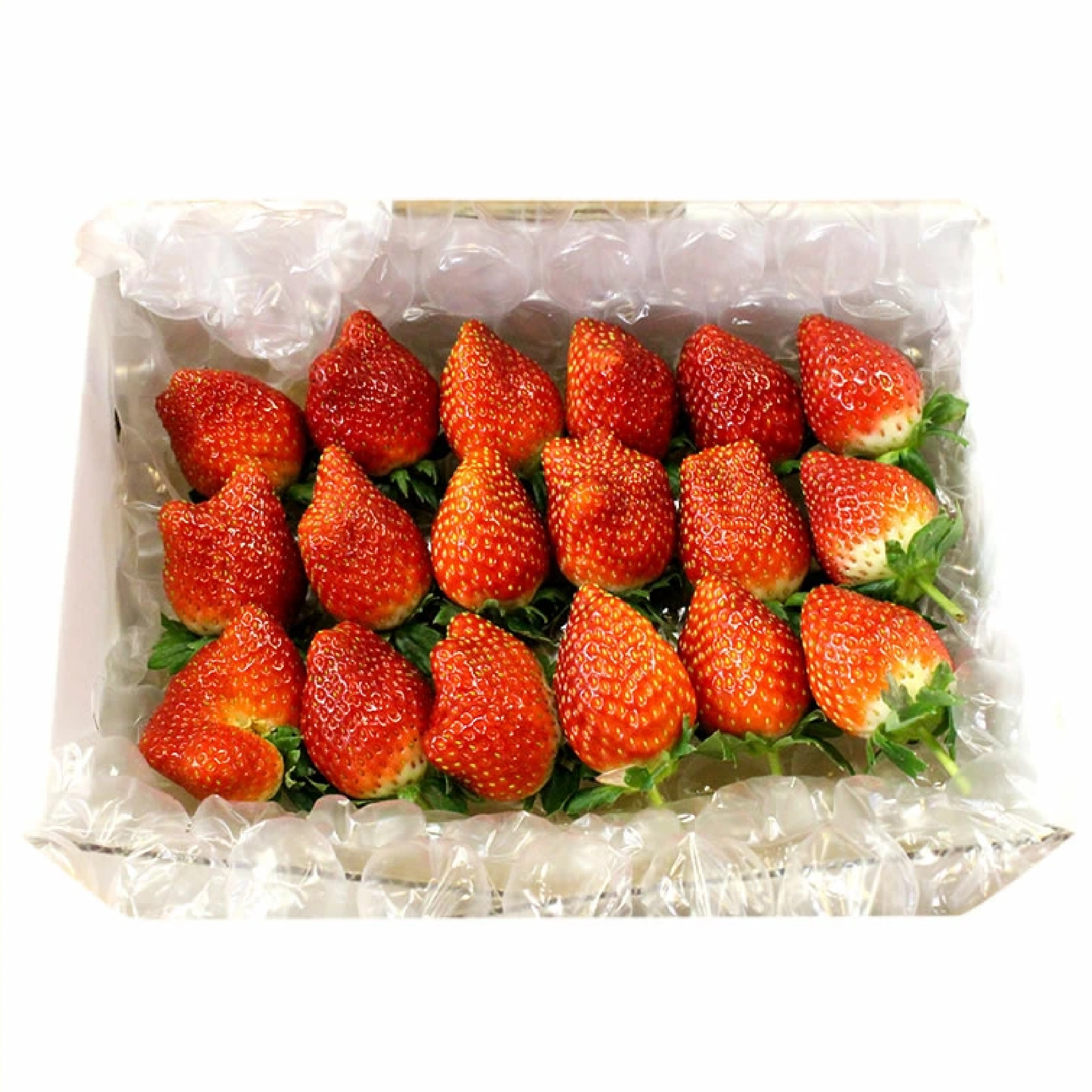 栃木県産 とちあいか ぎっしり詰め500g x 1箱