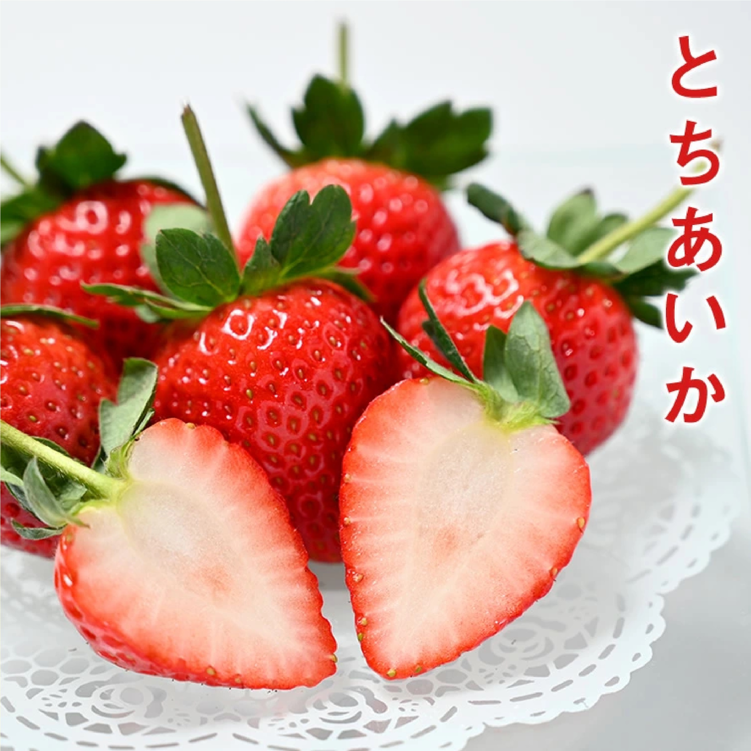 栃木県産 とちあいか ぎっしり詰め500g x 1箱