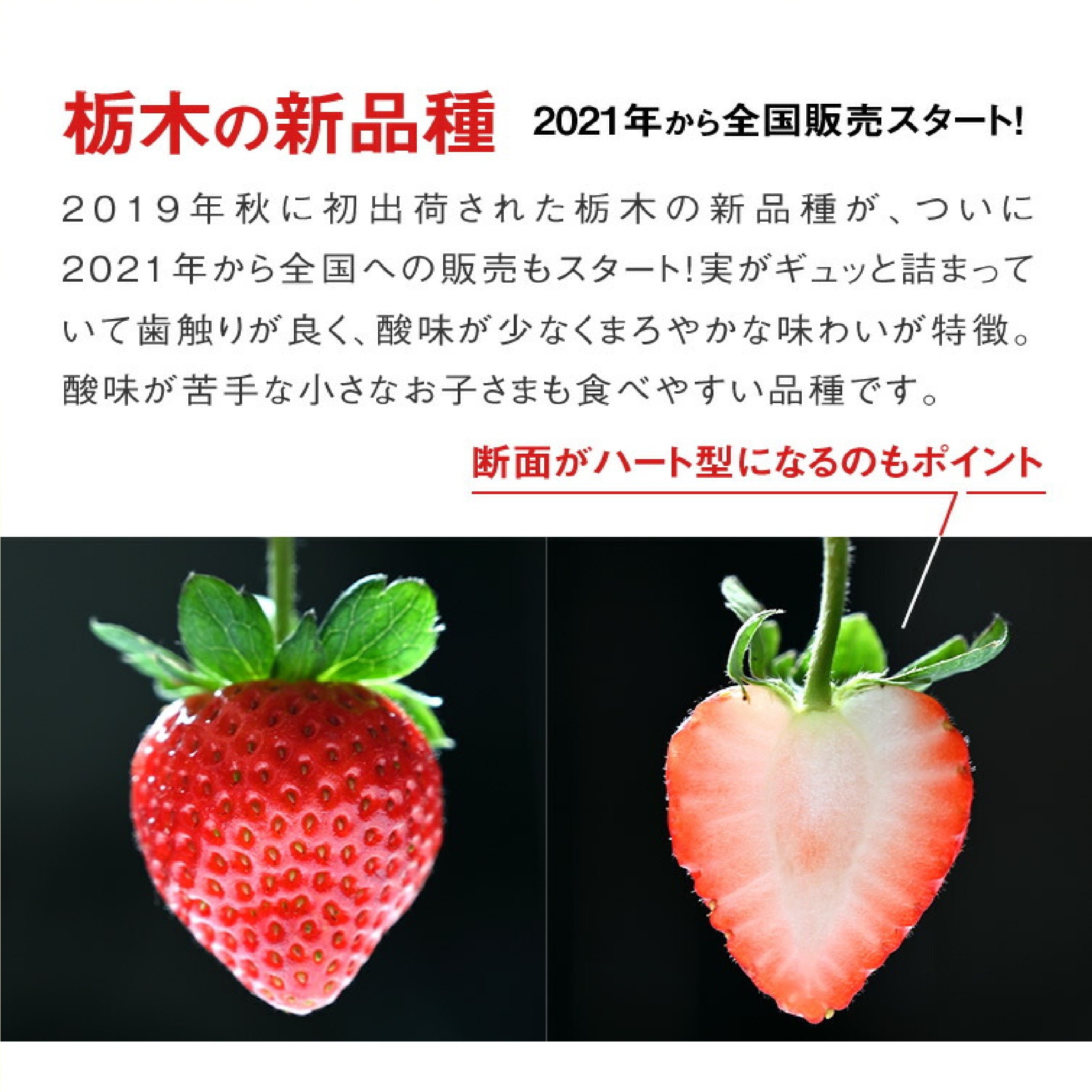栃木県産 とちあいか ぎっしり詰め500g x 1箱