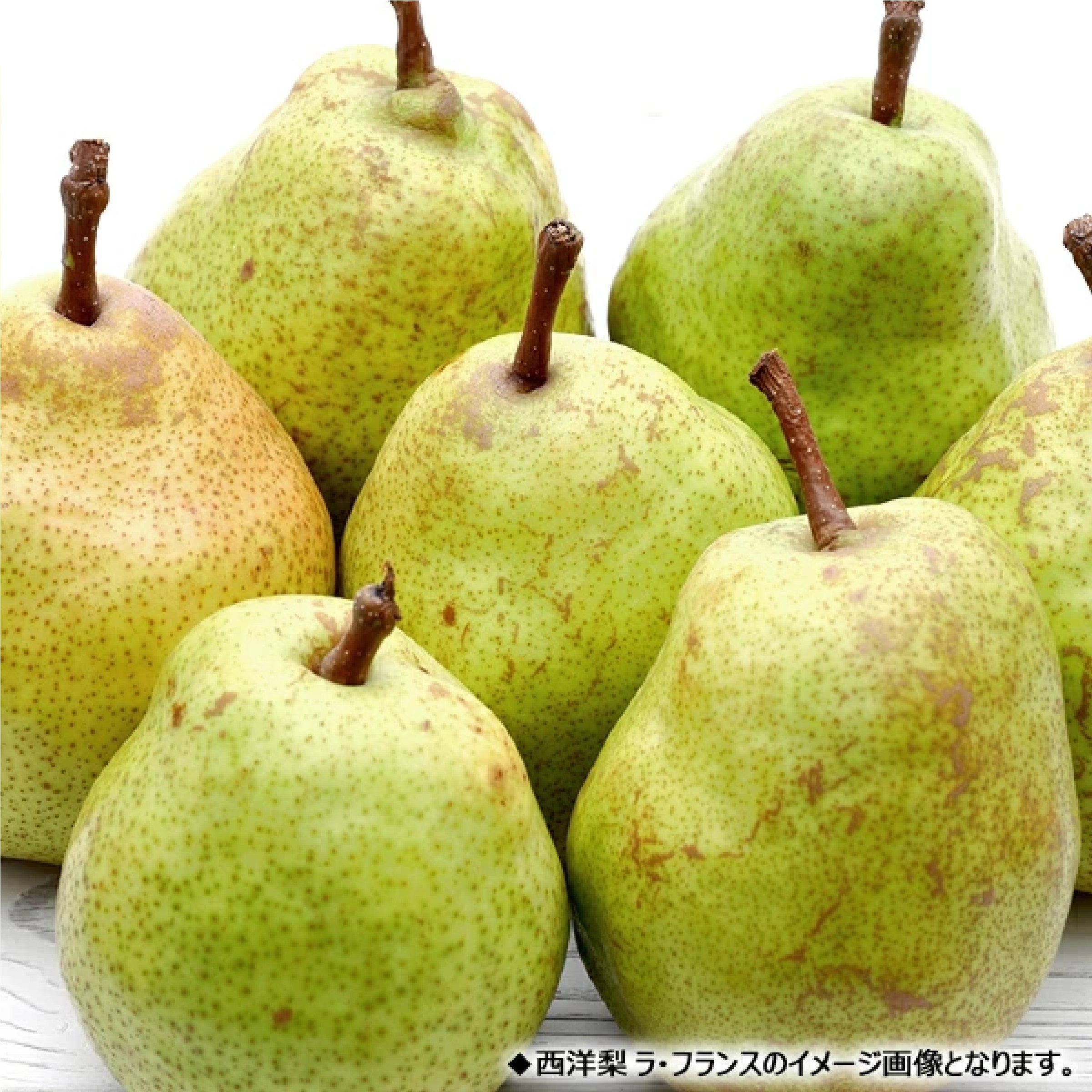 山形県産 西洋梨 シルバーベル 2kg