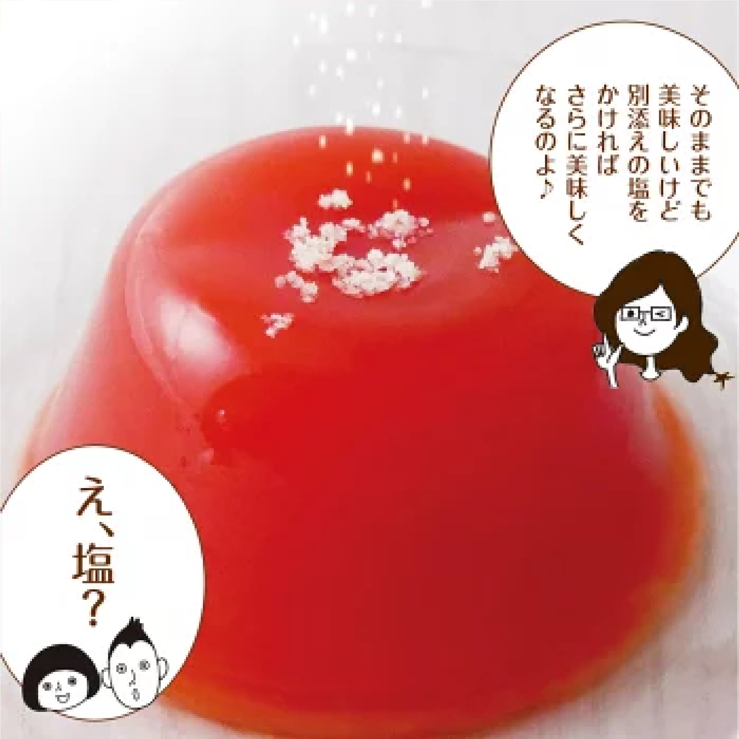 塩トマトゼリー 10個セット