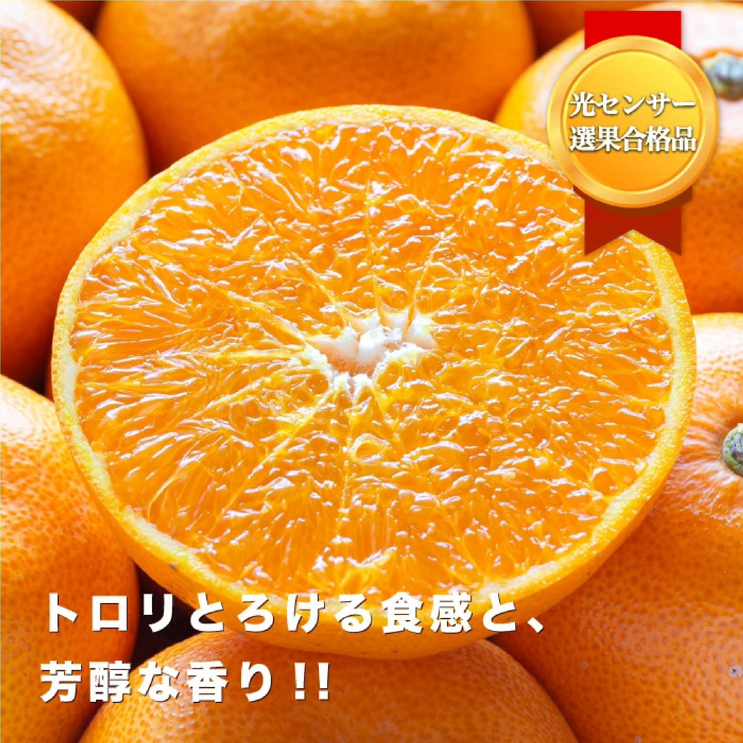 愛媛西宇和産 せとか 3kg　※2月中旬以降発送