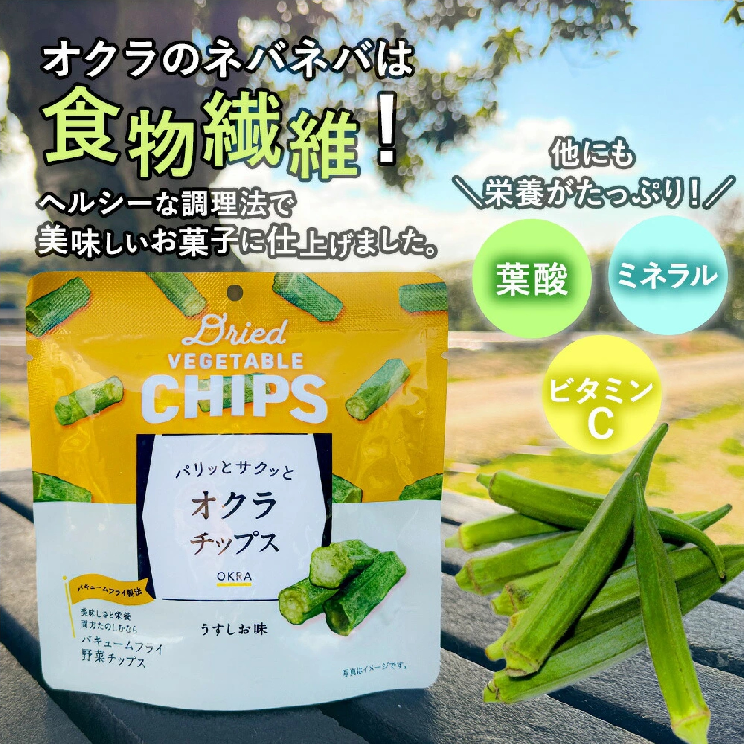 オクラ チップス 5袋