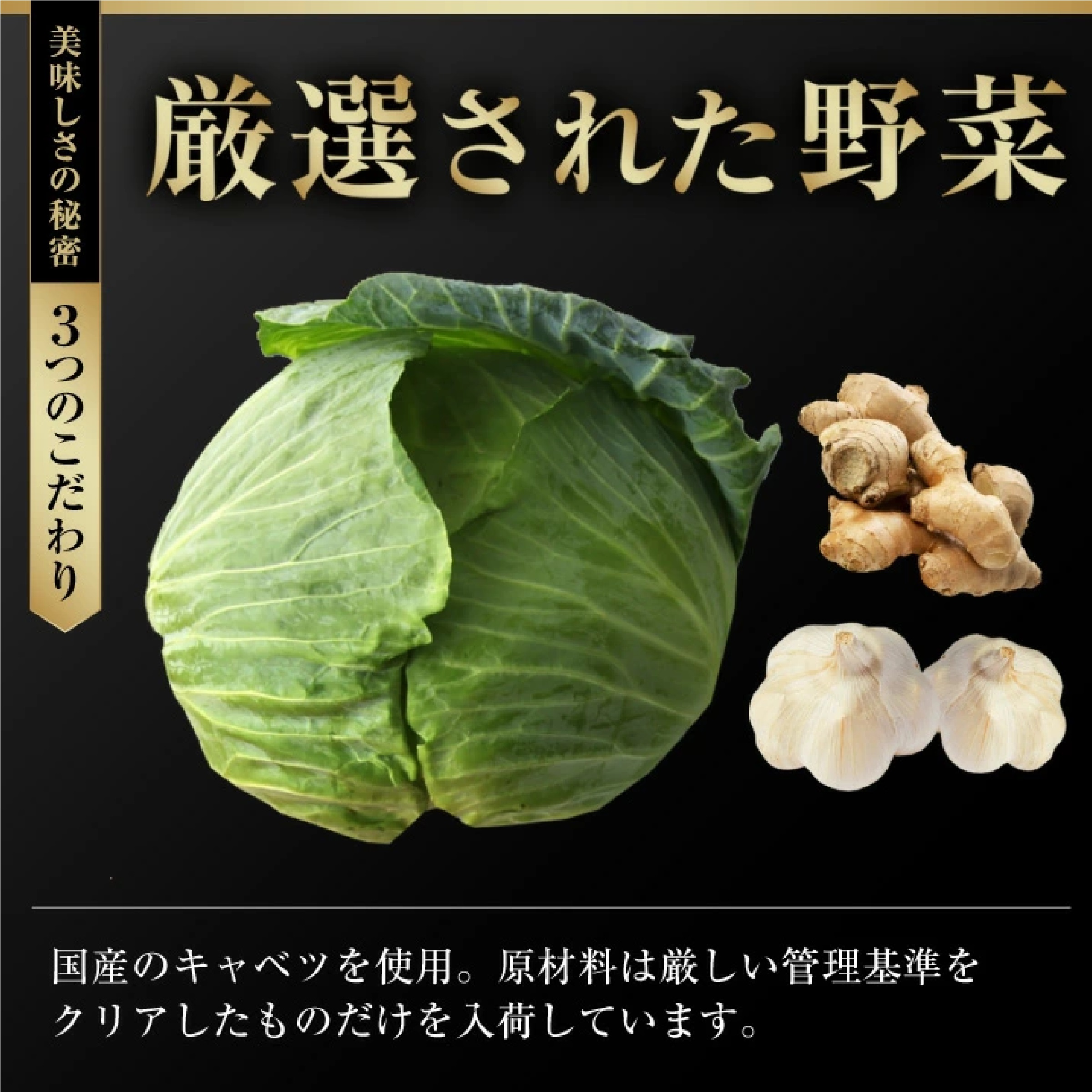 大阪王将 肉餃子 100個(50個入×2袋)※たれ12袋付